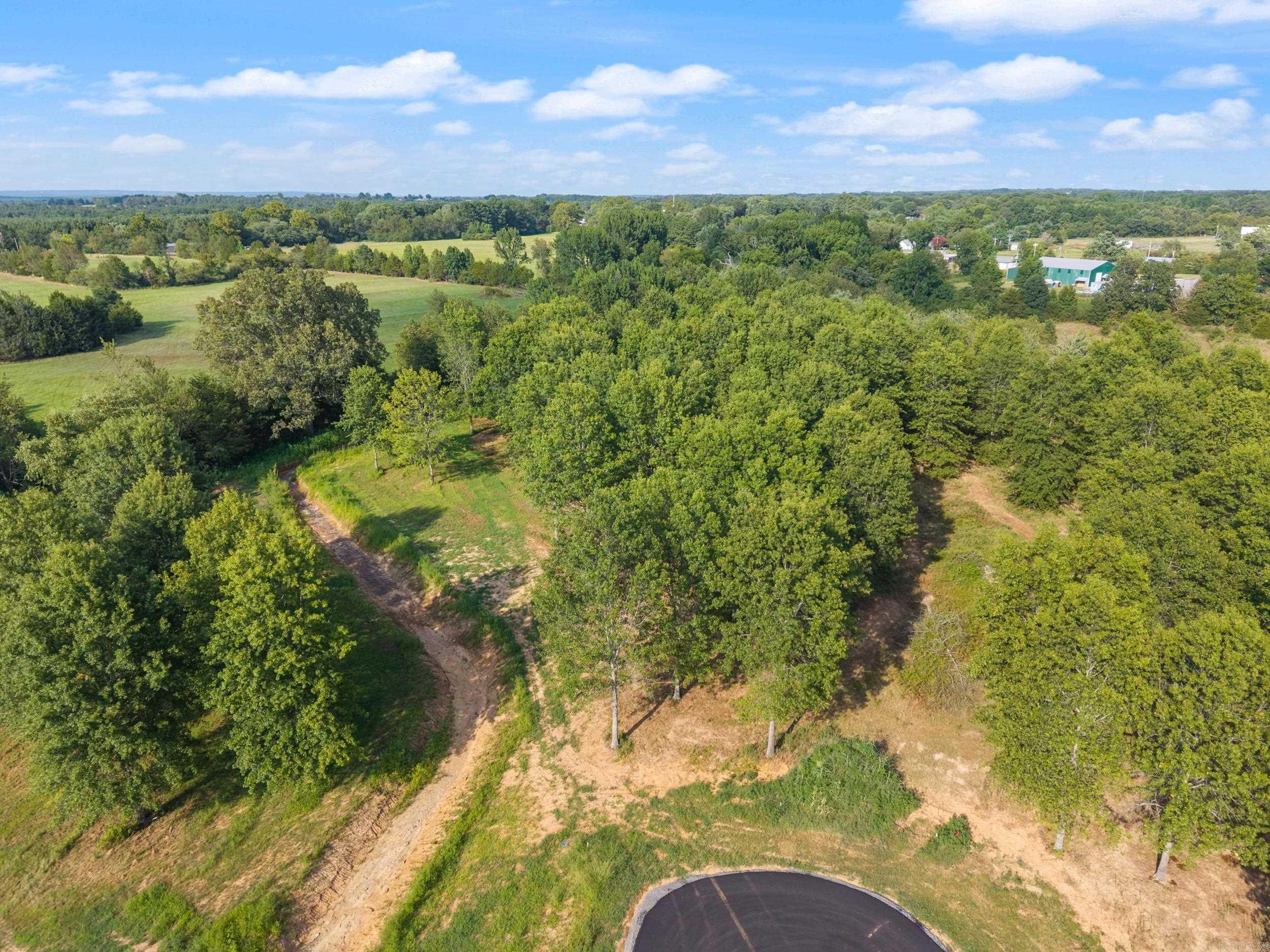 30R River Birch Drive  Guy, AR