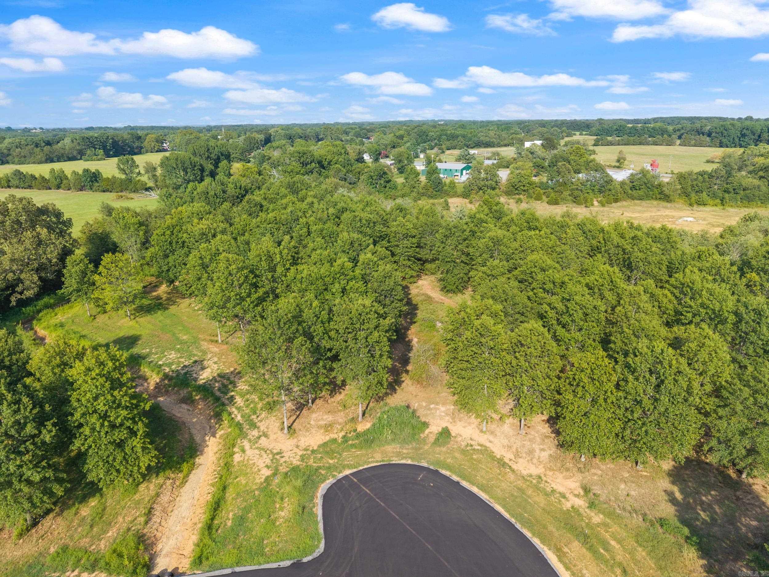 30R River Birch Drive  Guy, AR