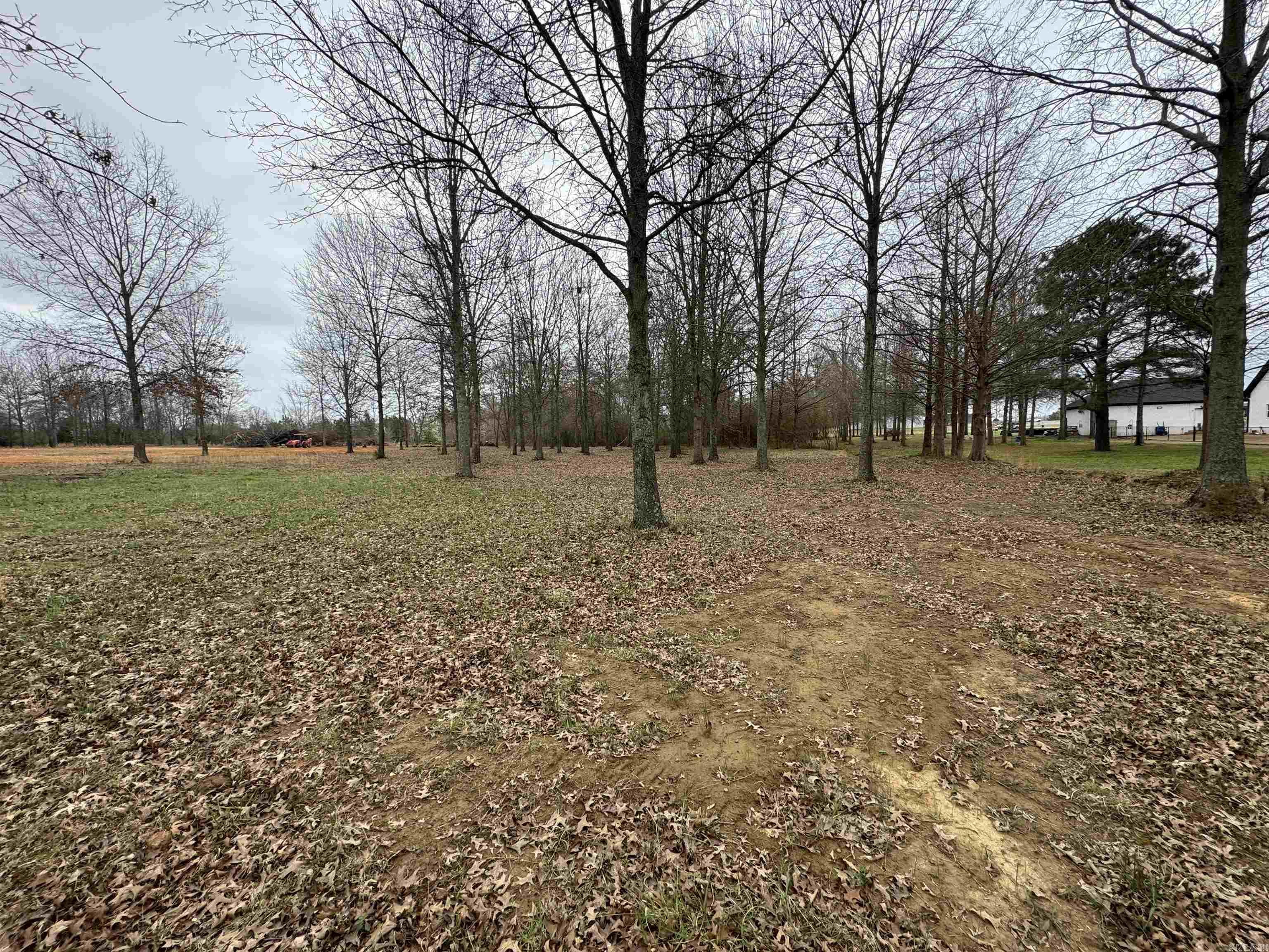 32R River Birch Drive  Guy, AR