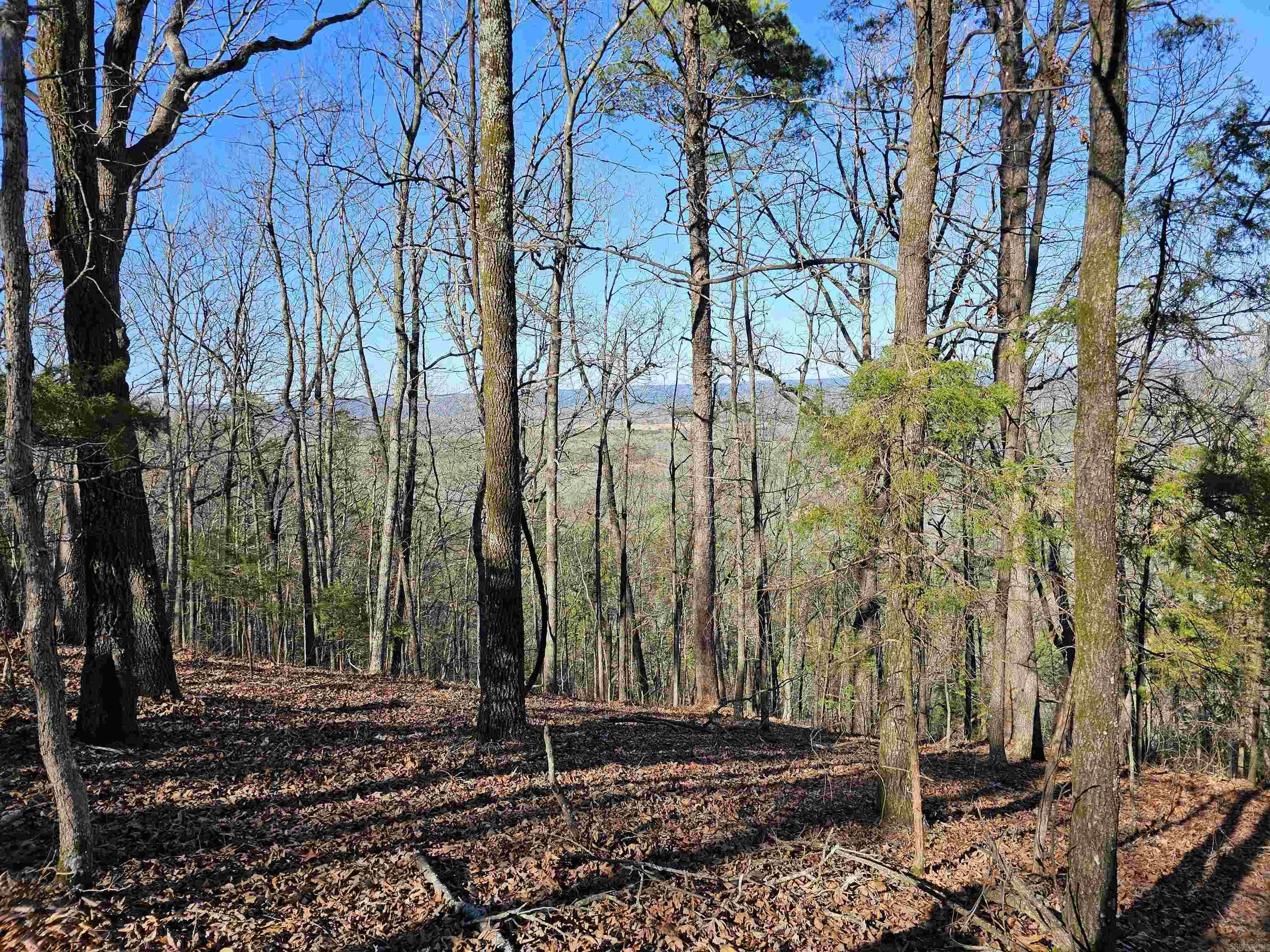 599 Rocking T  Heber Springs, AR