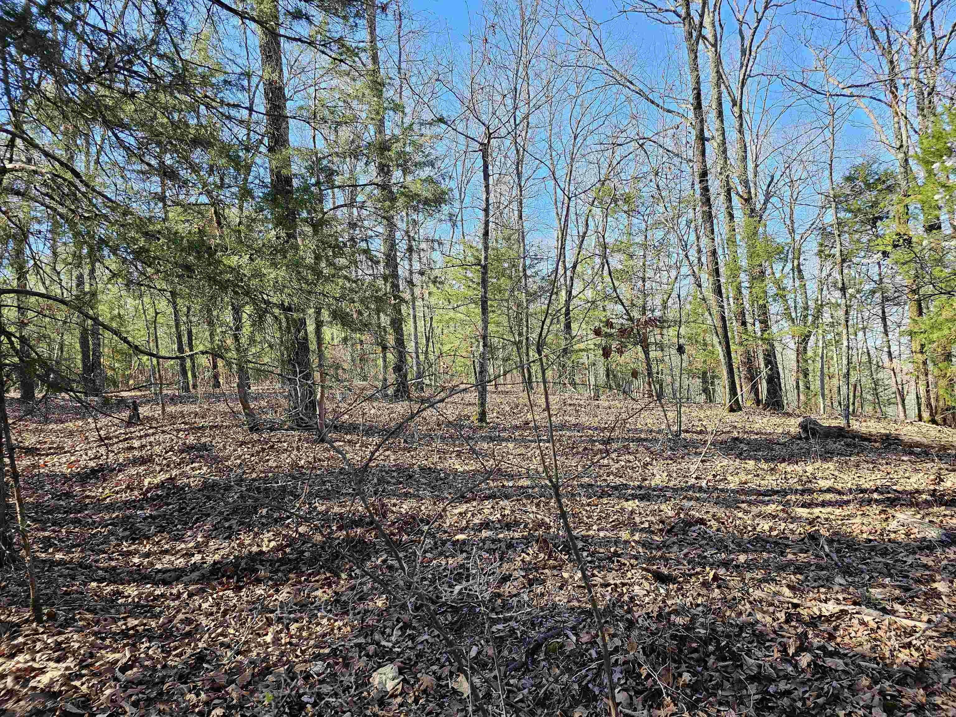 599 Rocking T  Heber Springs, AR