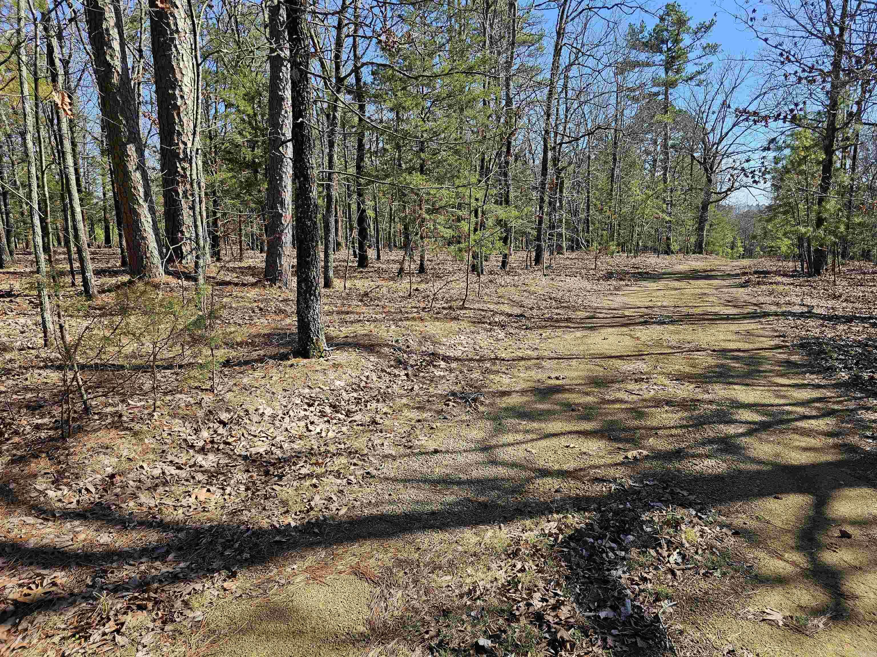 599 Rocking T  Heber Springs, AR