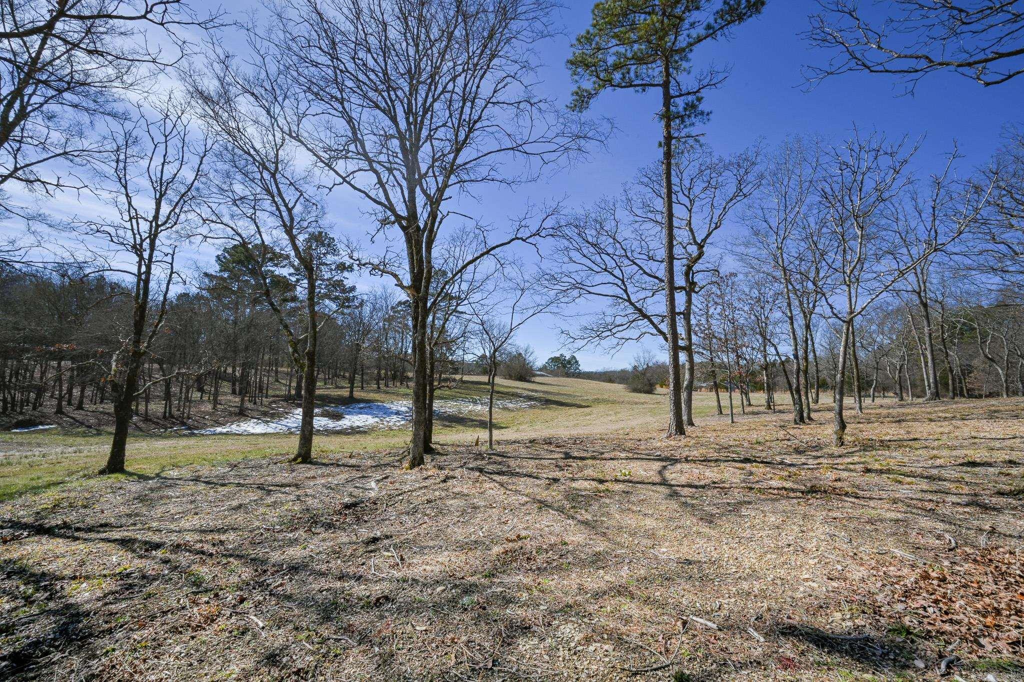 Lot #9 Polk Road 57  Mena, AR