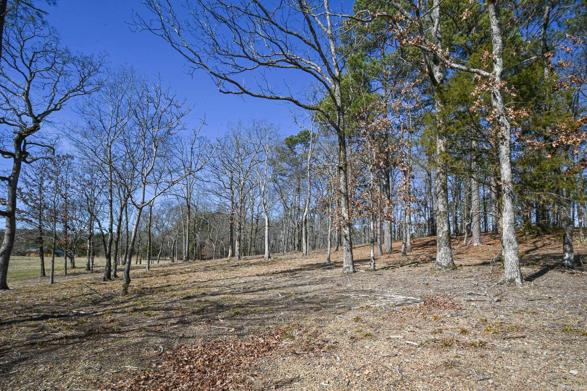 Lot #9 Polk Road 57  Mena, AR