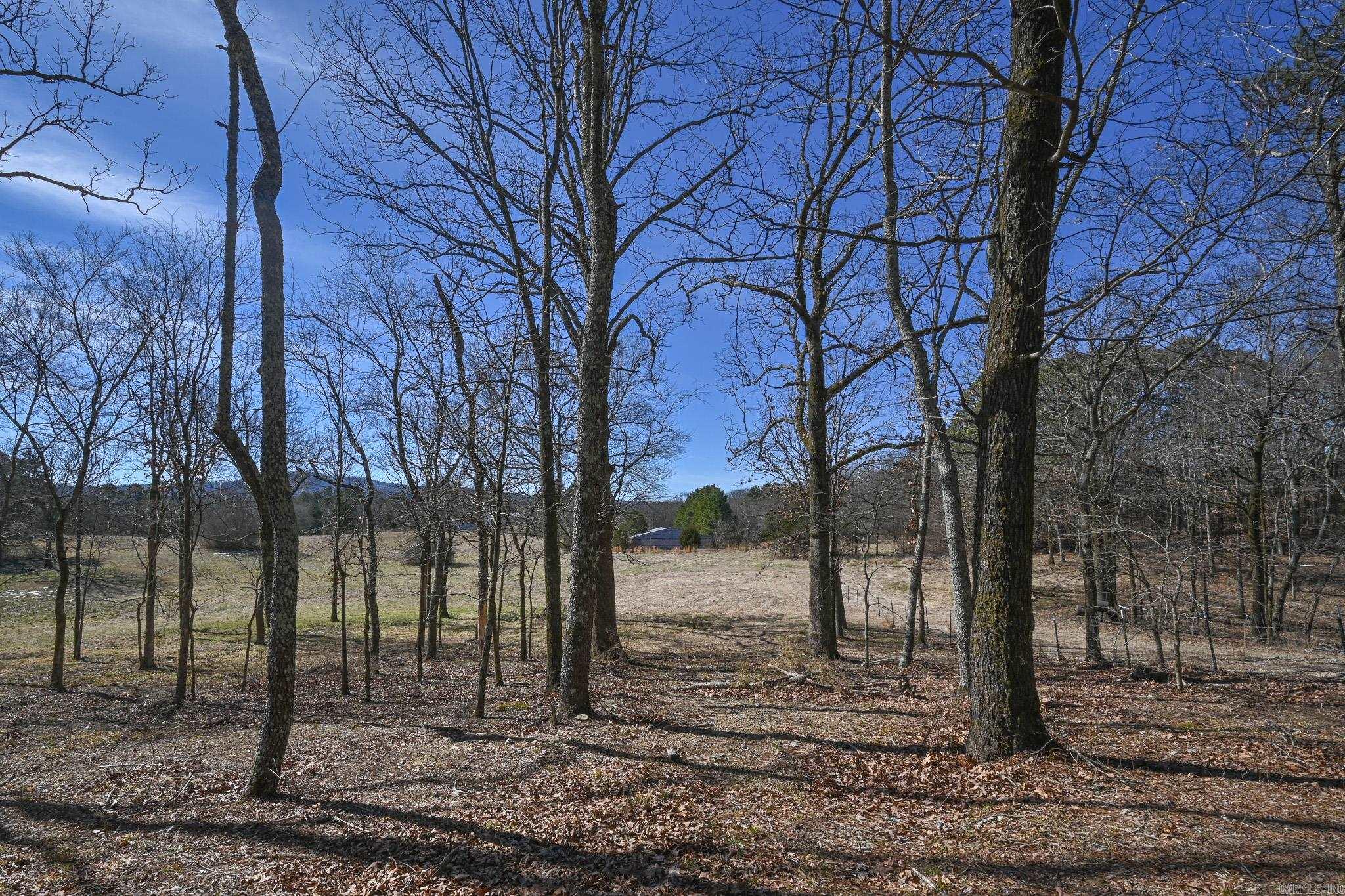 Lot #9 Polk Road 57  Mena, AR