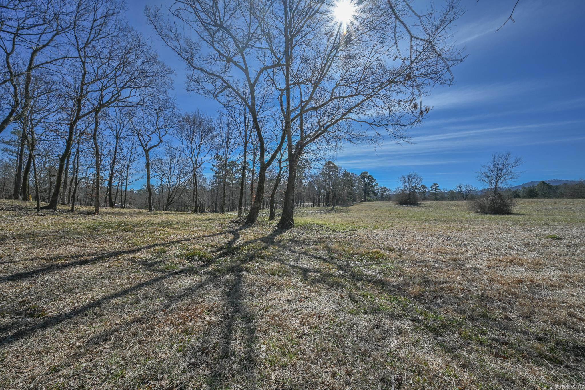Lot #9 Polk Road 57  Mena, AR