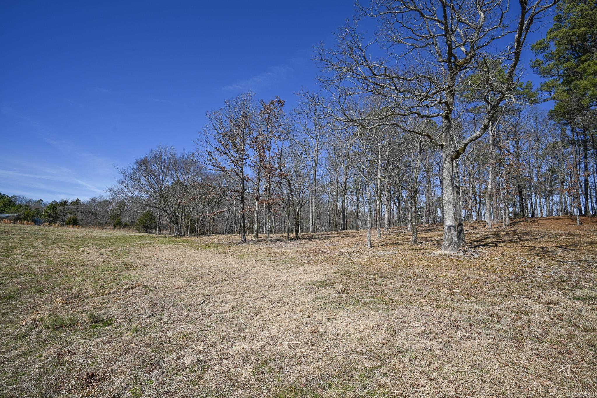 Lot #9 Polk Road 57  Mena, AR