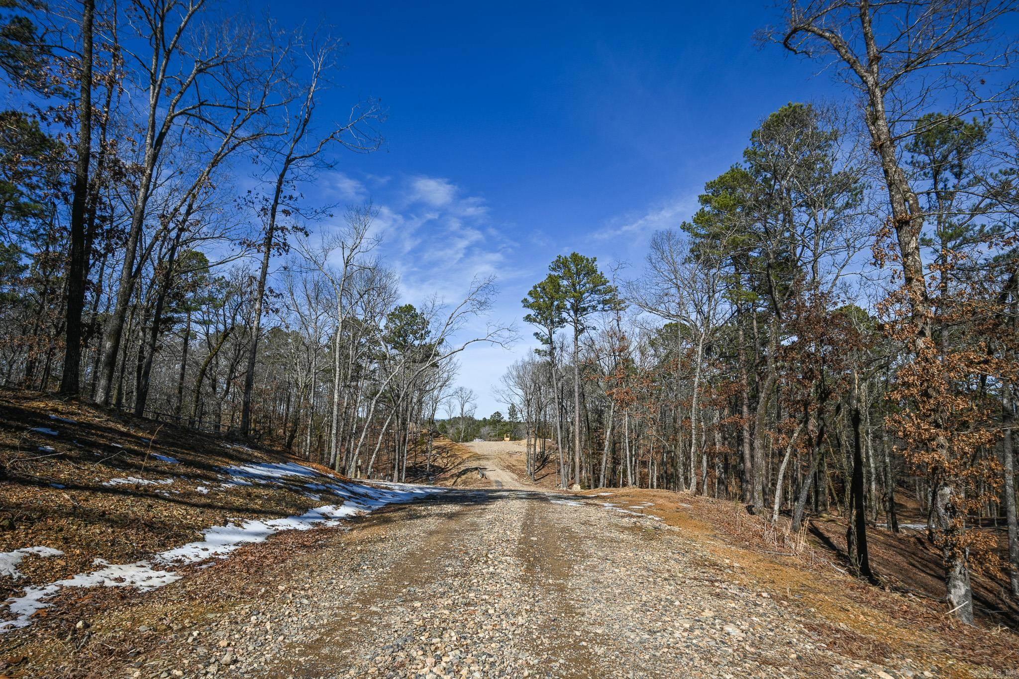 Lot #9 Polk Road 57  Mena, AR