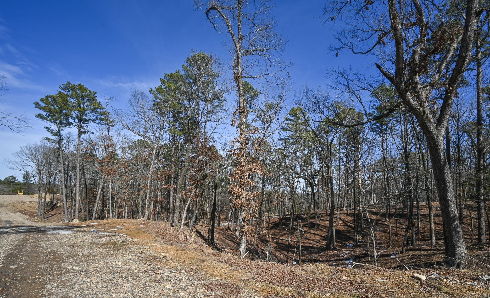 Lot #9 Polk Road 57  Mena, AR