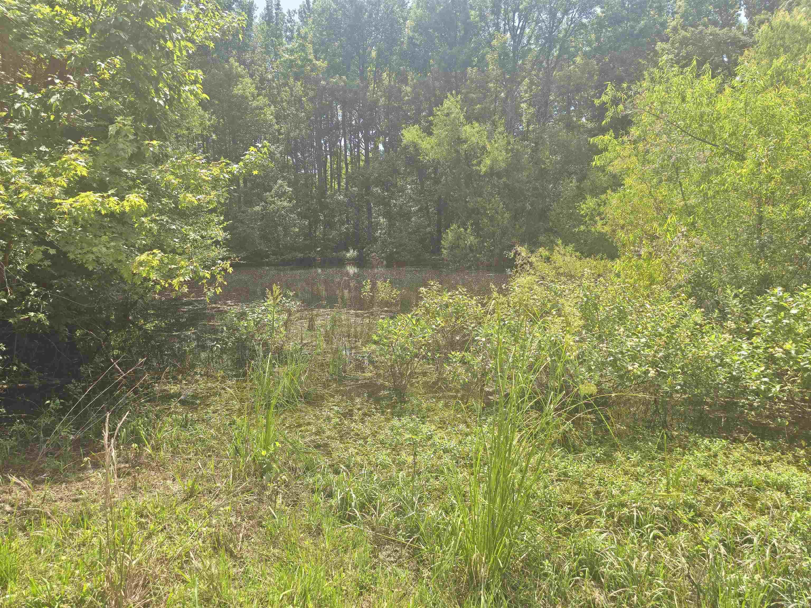 84 Copper Springs  Greenbrier, AR