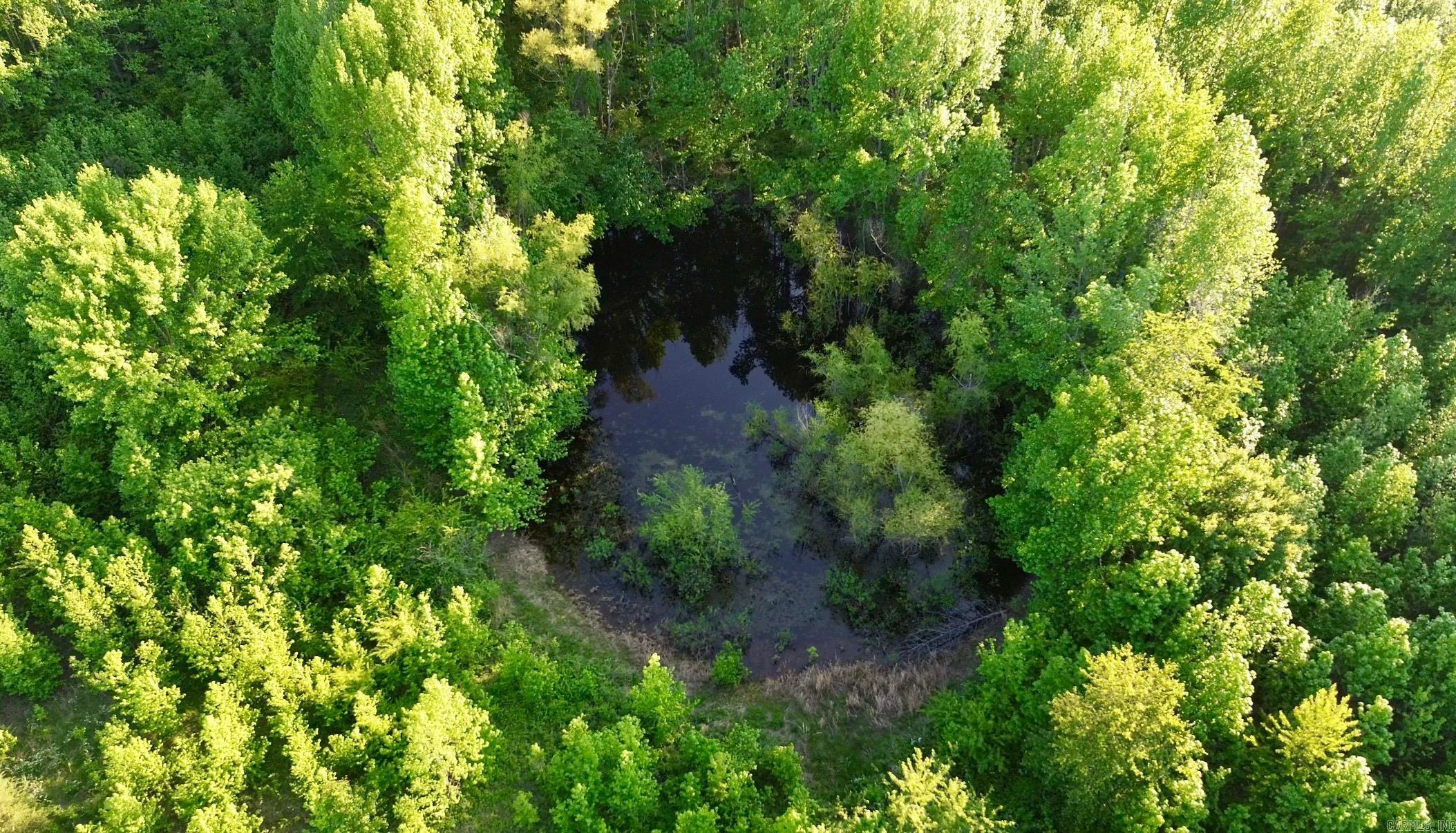 84 Copper Springs  Greenbrier, AR