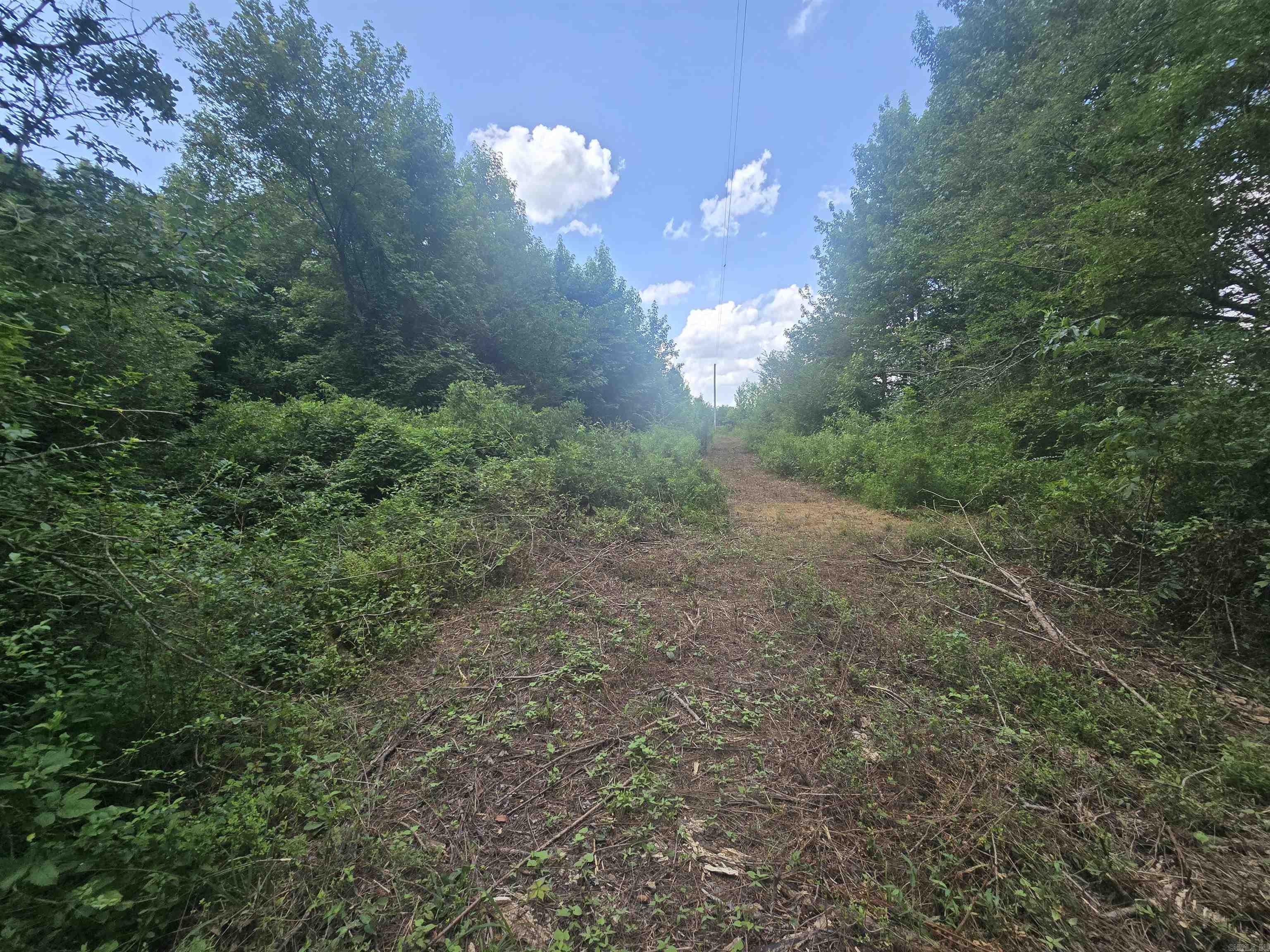 84 Copper Springs  Greenbrier, AR