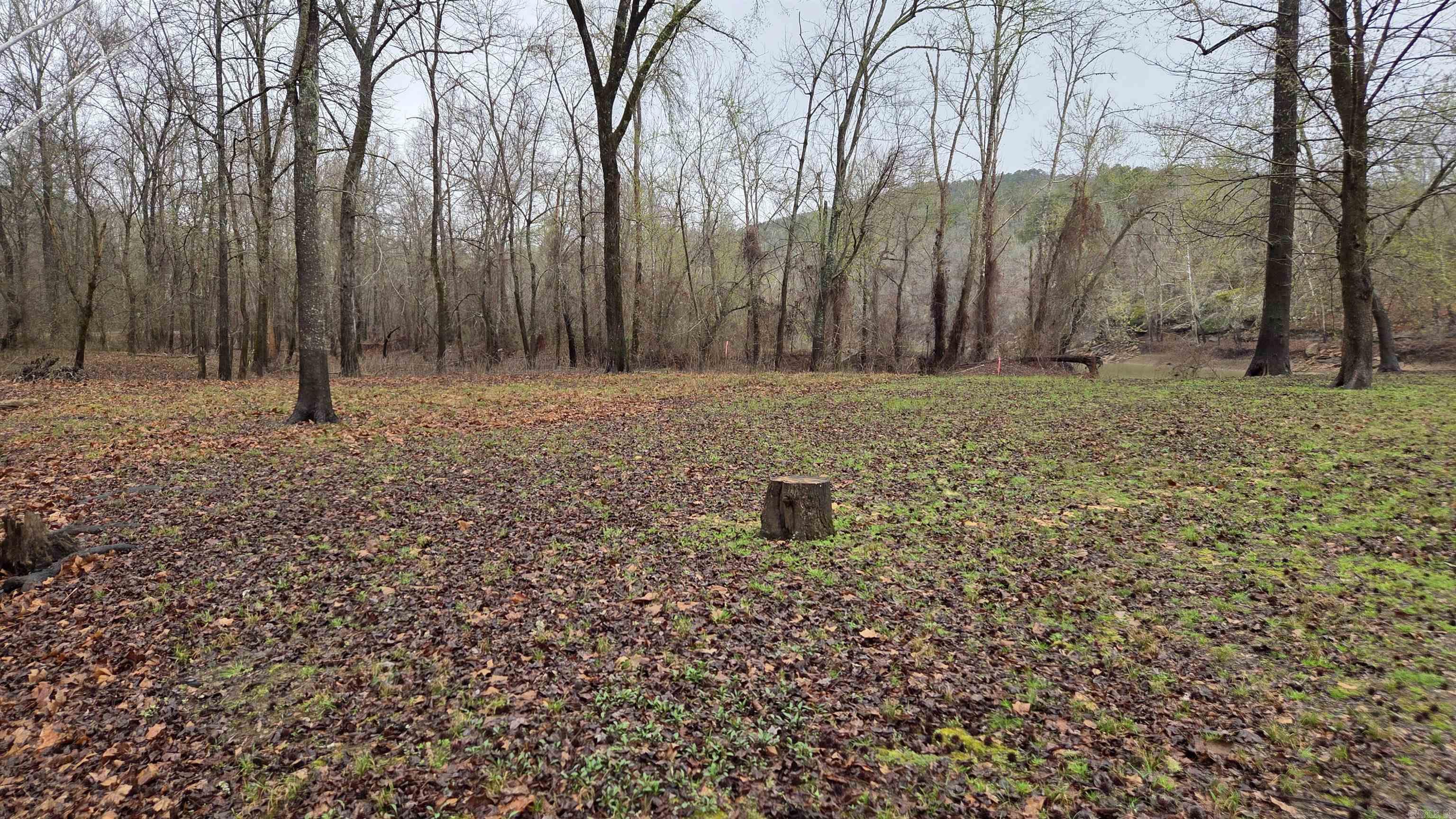 1745 Sandiff  Shirley, AR