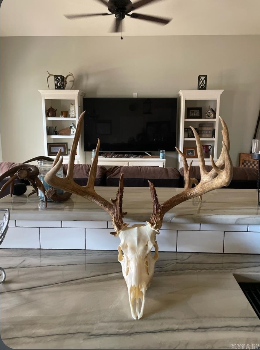 1745 Sandiff  Shirley, AR