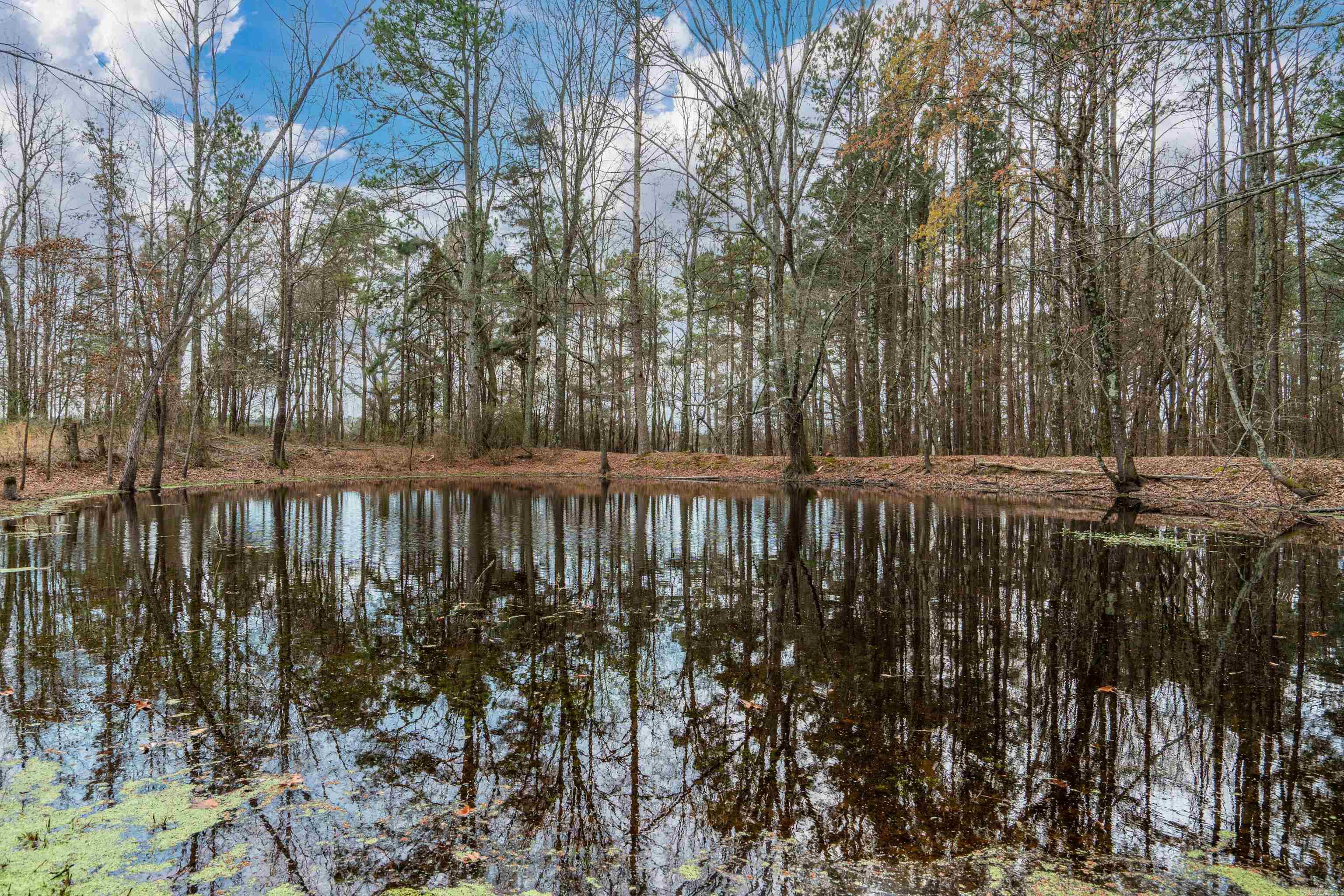 17097 HWY 84 Bismarck, AR 71929