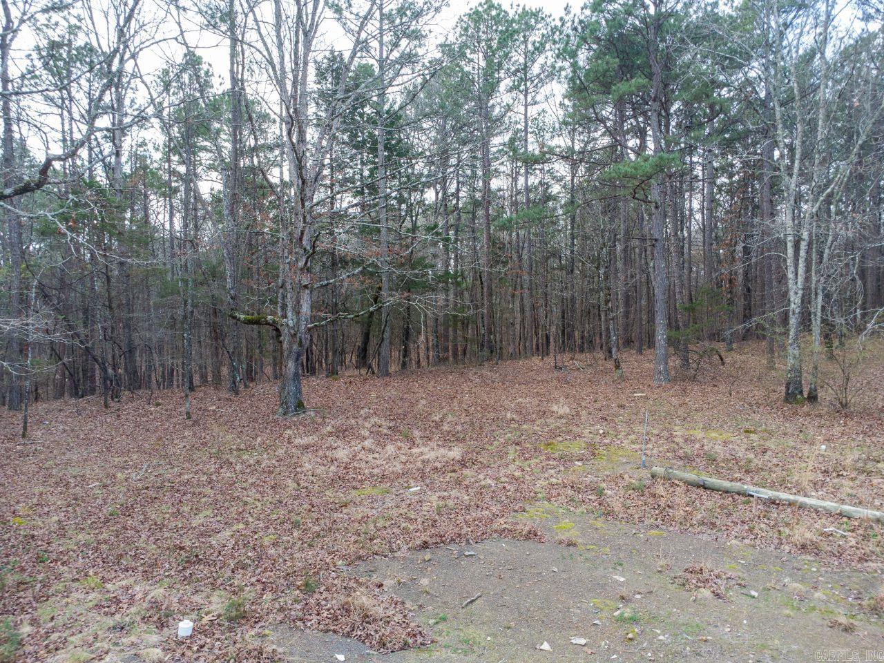 12 Southview  Bigelow, AR