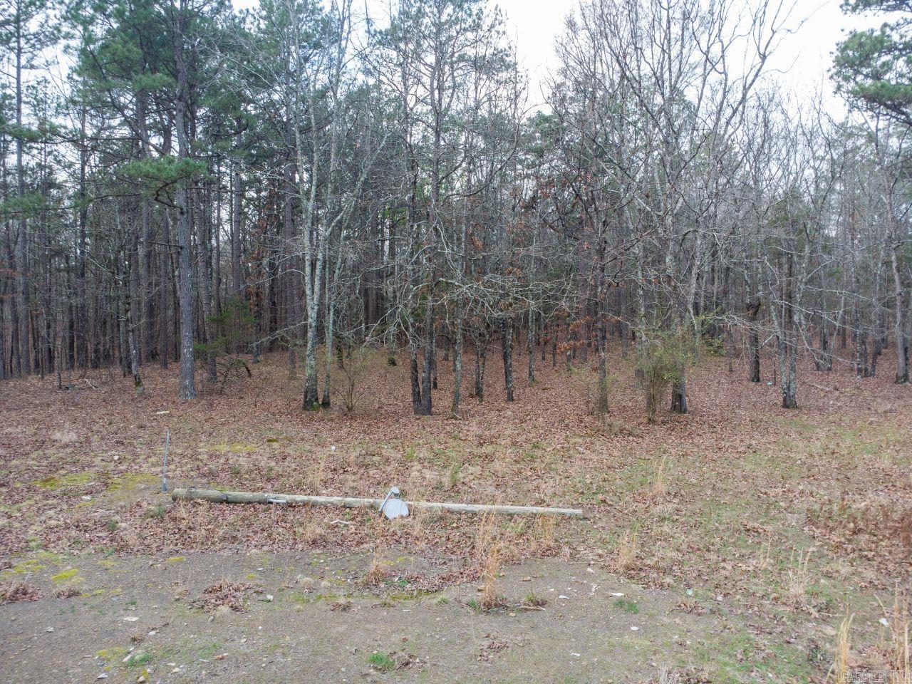 12 Southview  Bigelow, AR