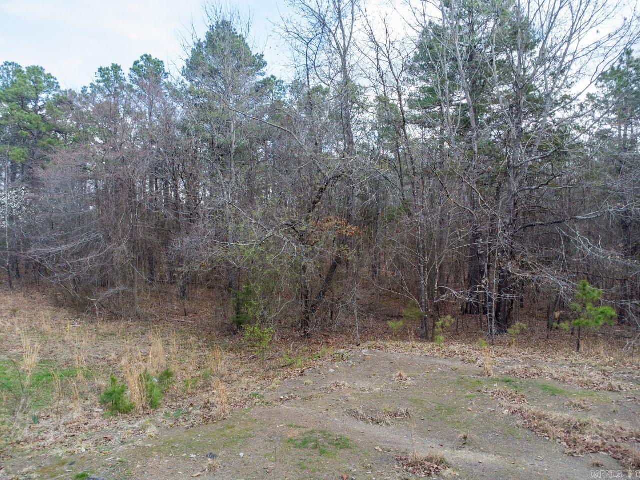 12 Southview  Bigelow, AR