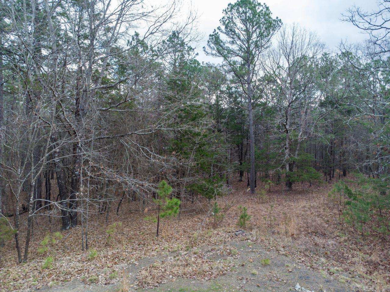 12 Southview  Bigelow, AR