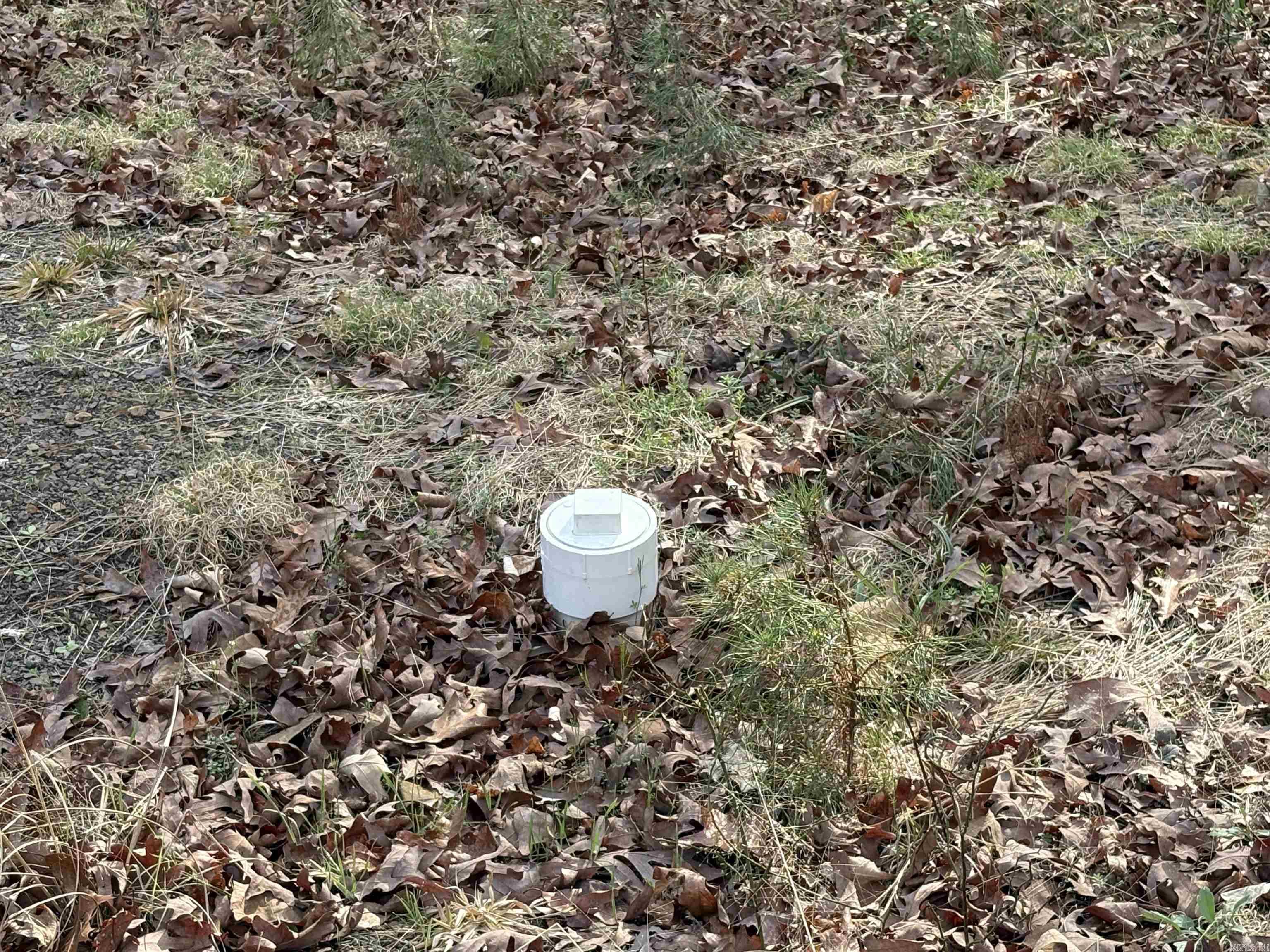 12 Southview  Bigelow, AR