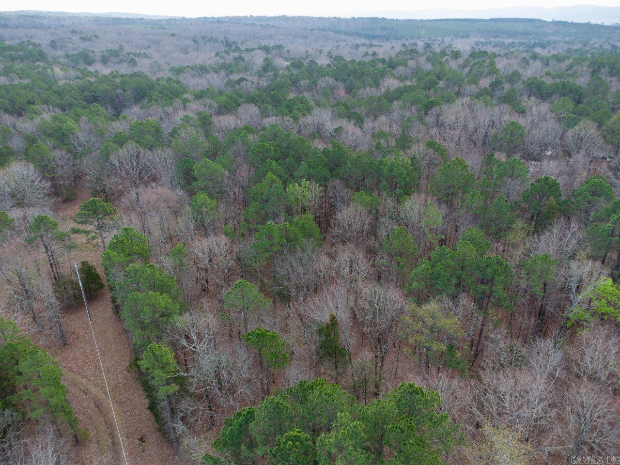 12 Southview  Bigelow, AR