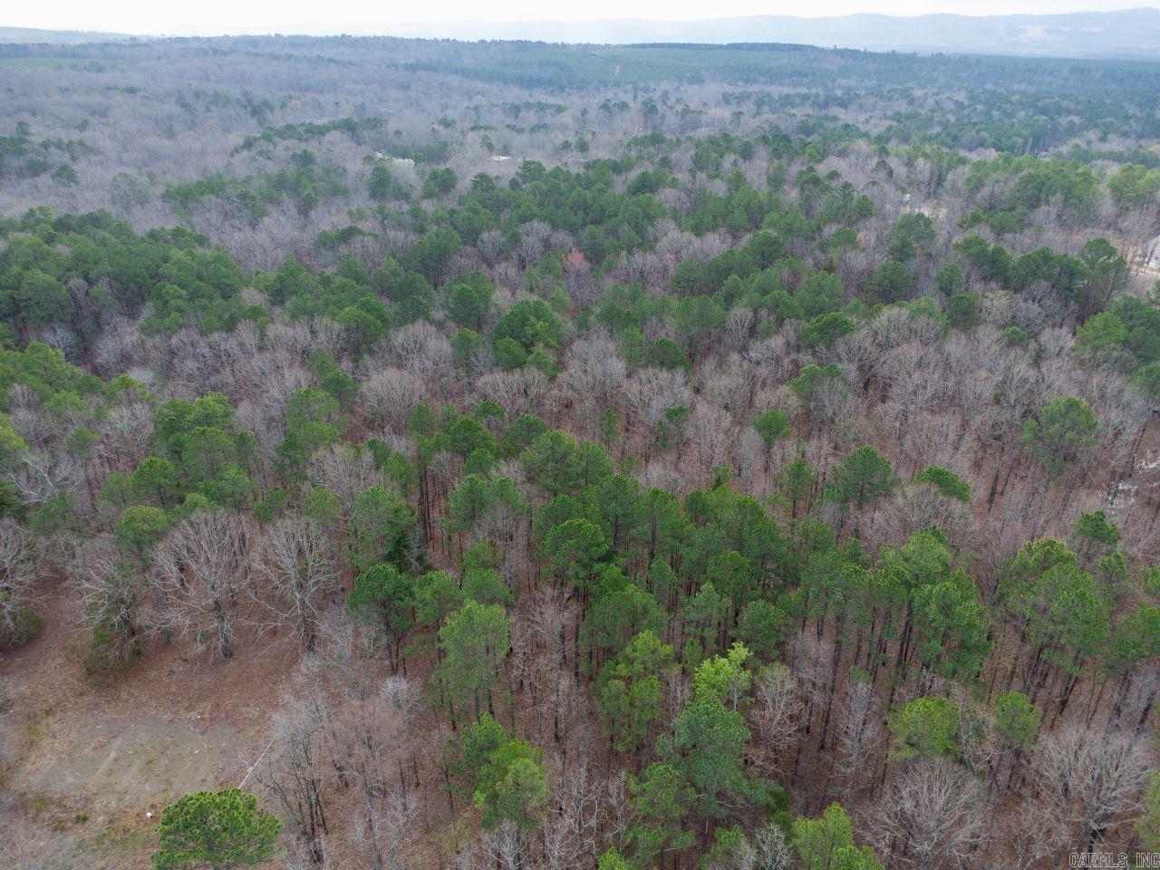 12 Southview  Bigelow, AR