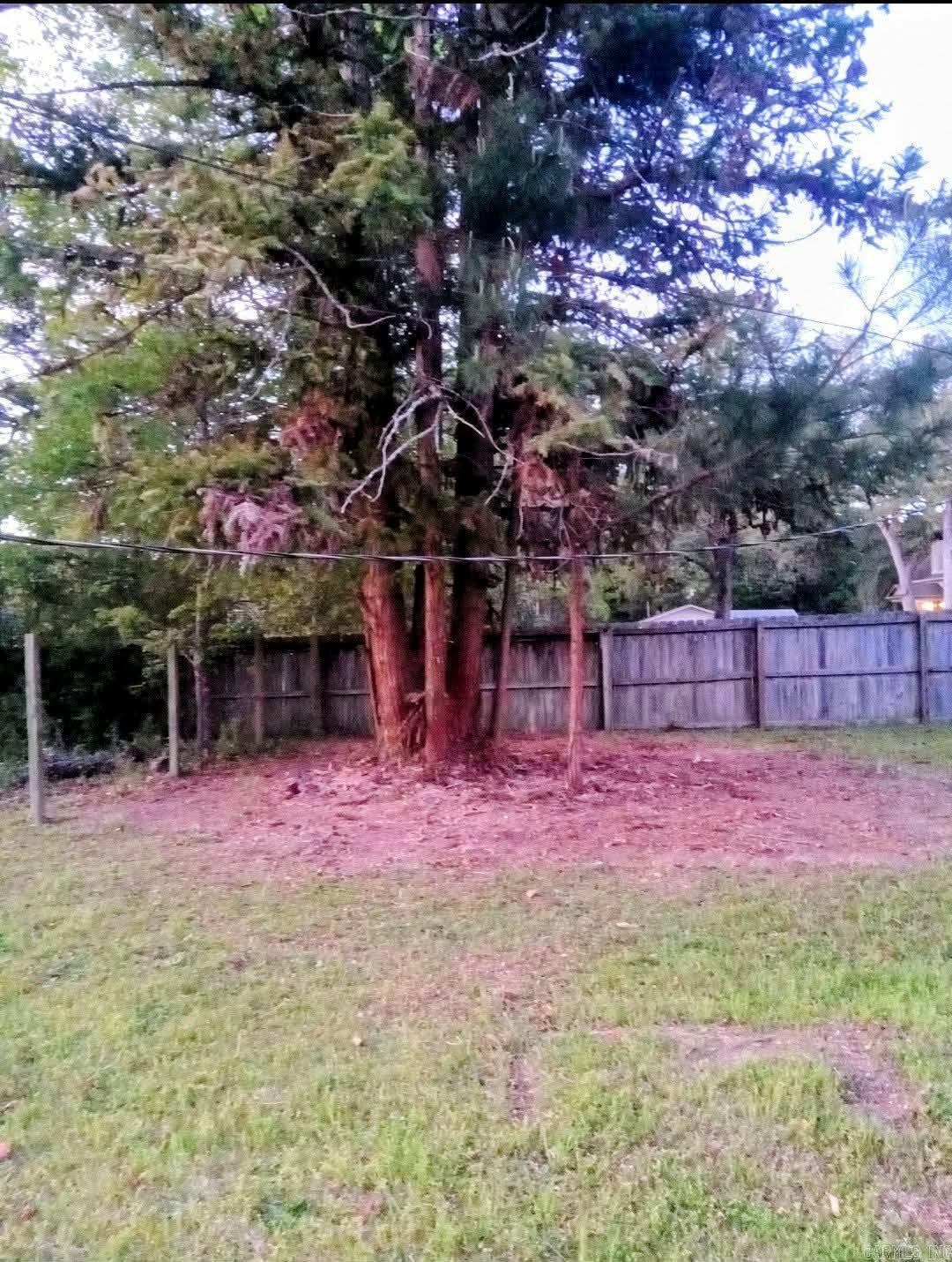 309 Dogwood Street  Waldo, AR