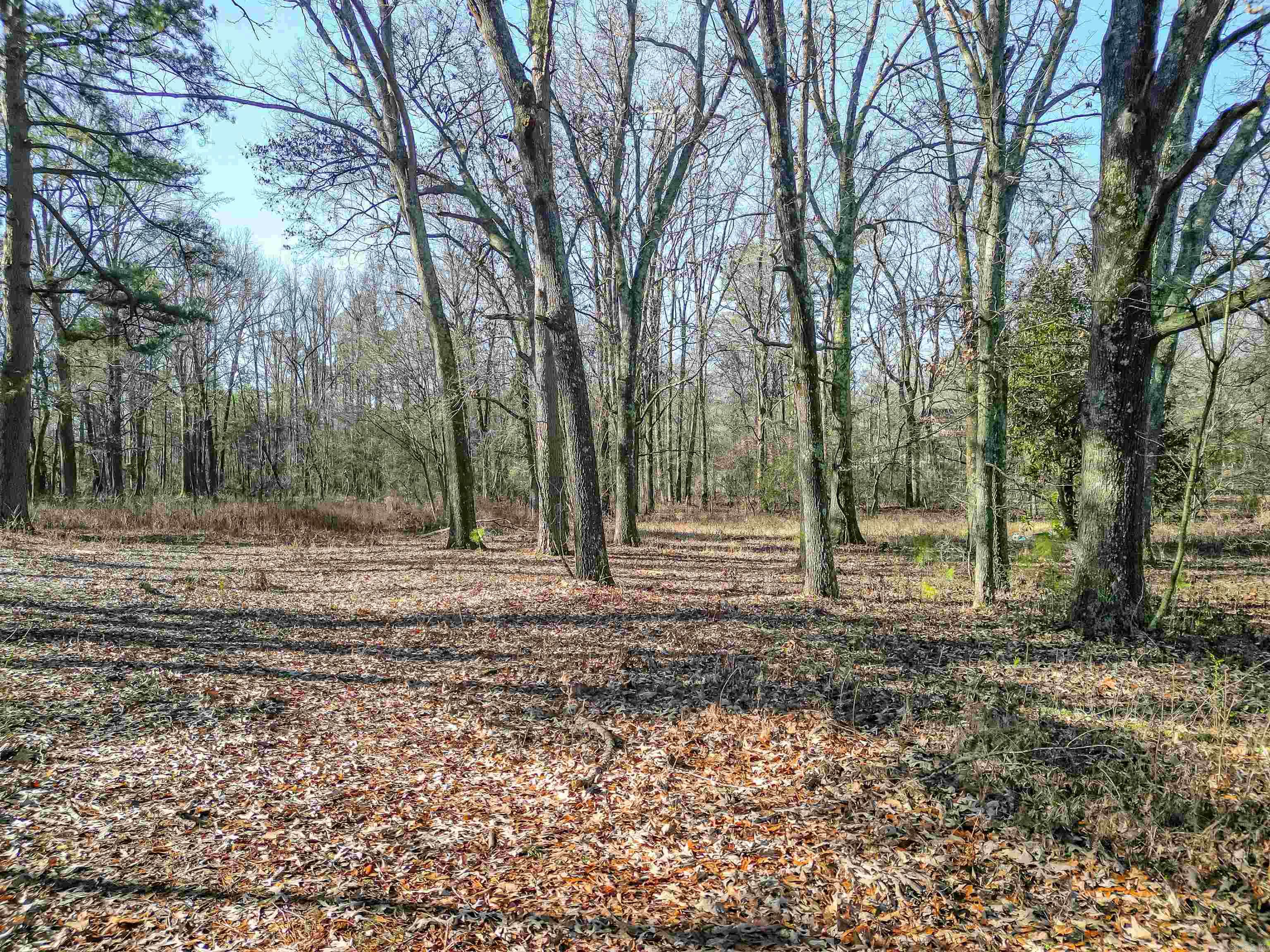 365 Skinner  Austin, AR