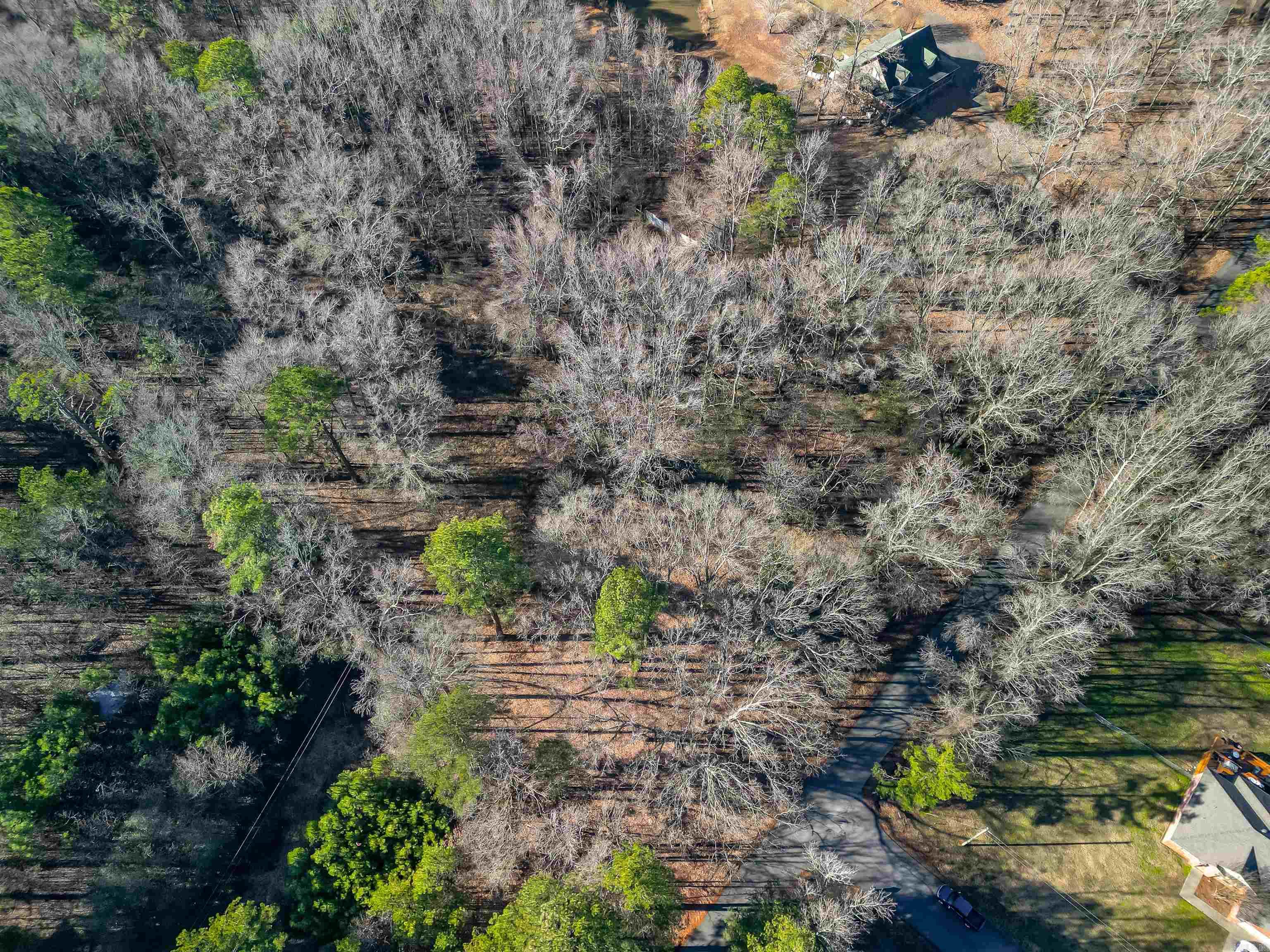 365 Skinner  Austin, AR