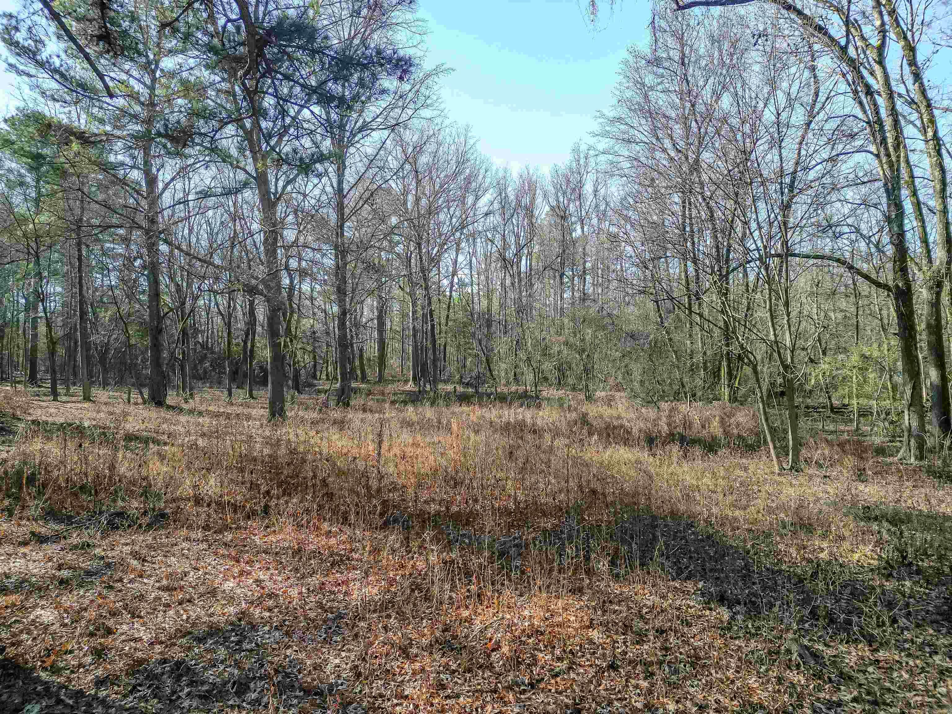 365 Skinner  Austin, AR