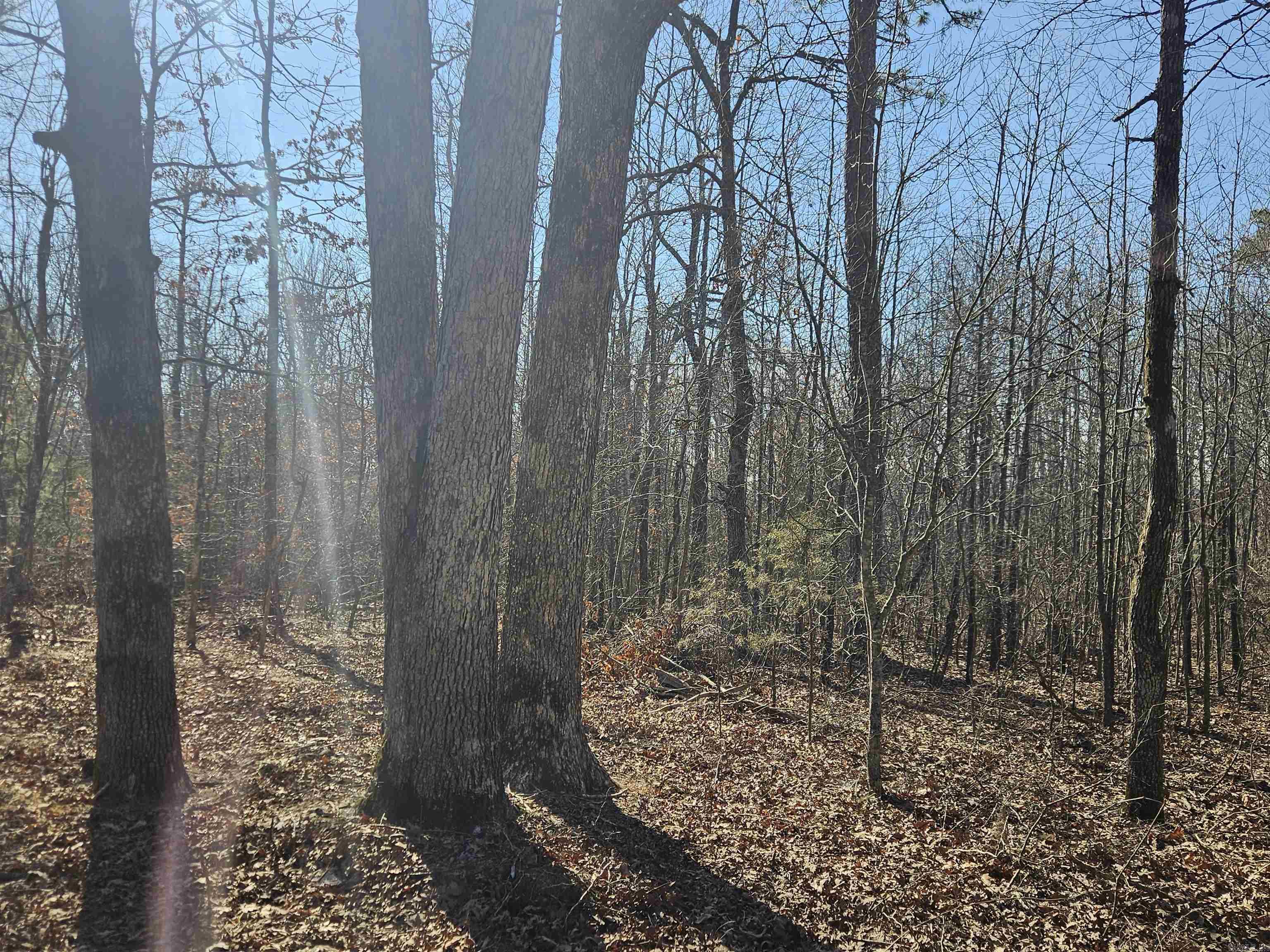 289 Old Stagecoach Road Alco, AR 72610