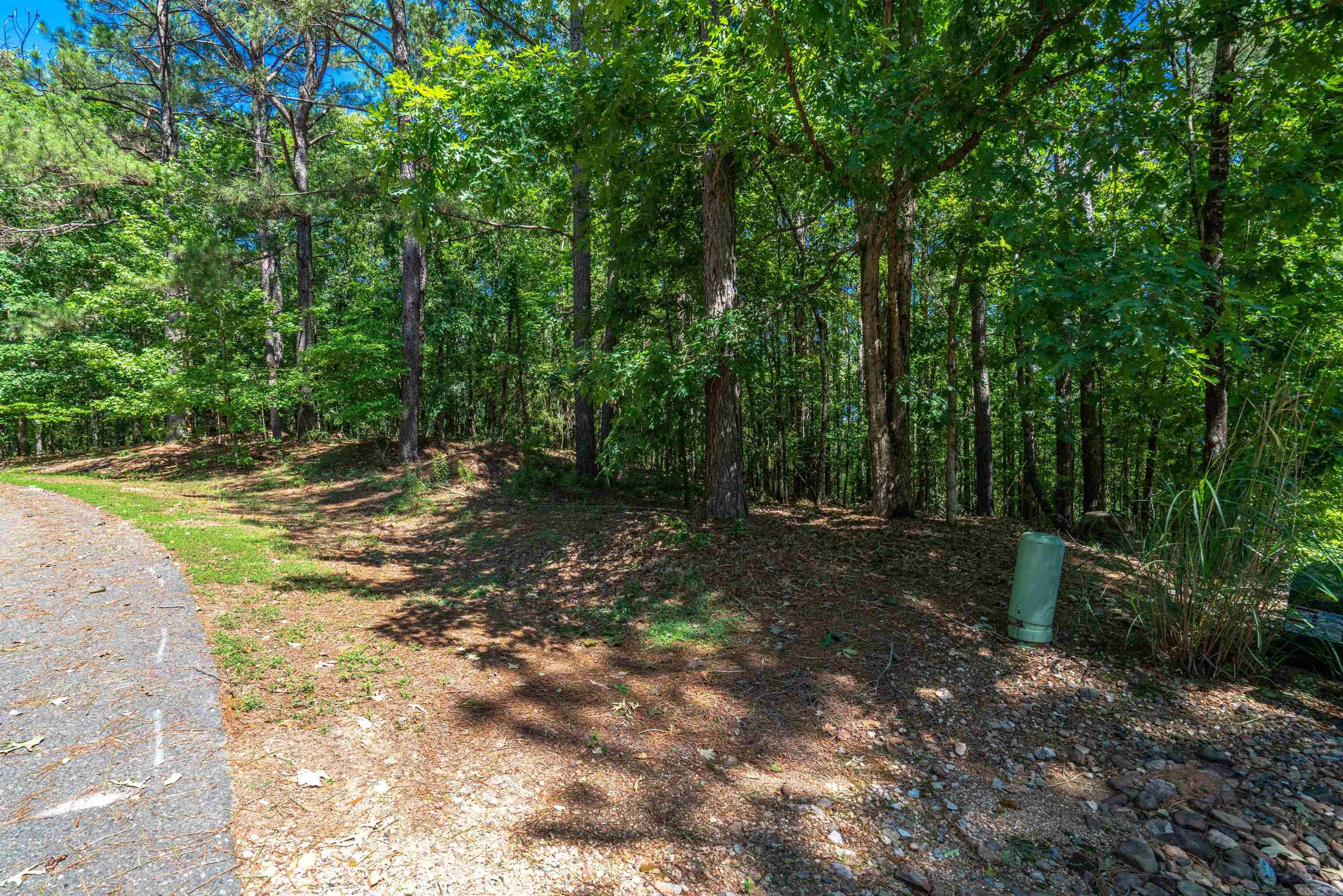 13 Gozar Lane  Hot Springs Village, AR
