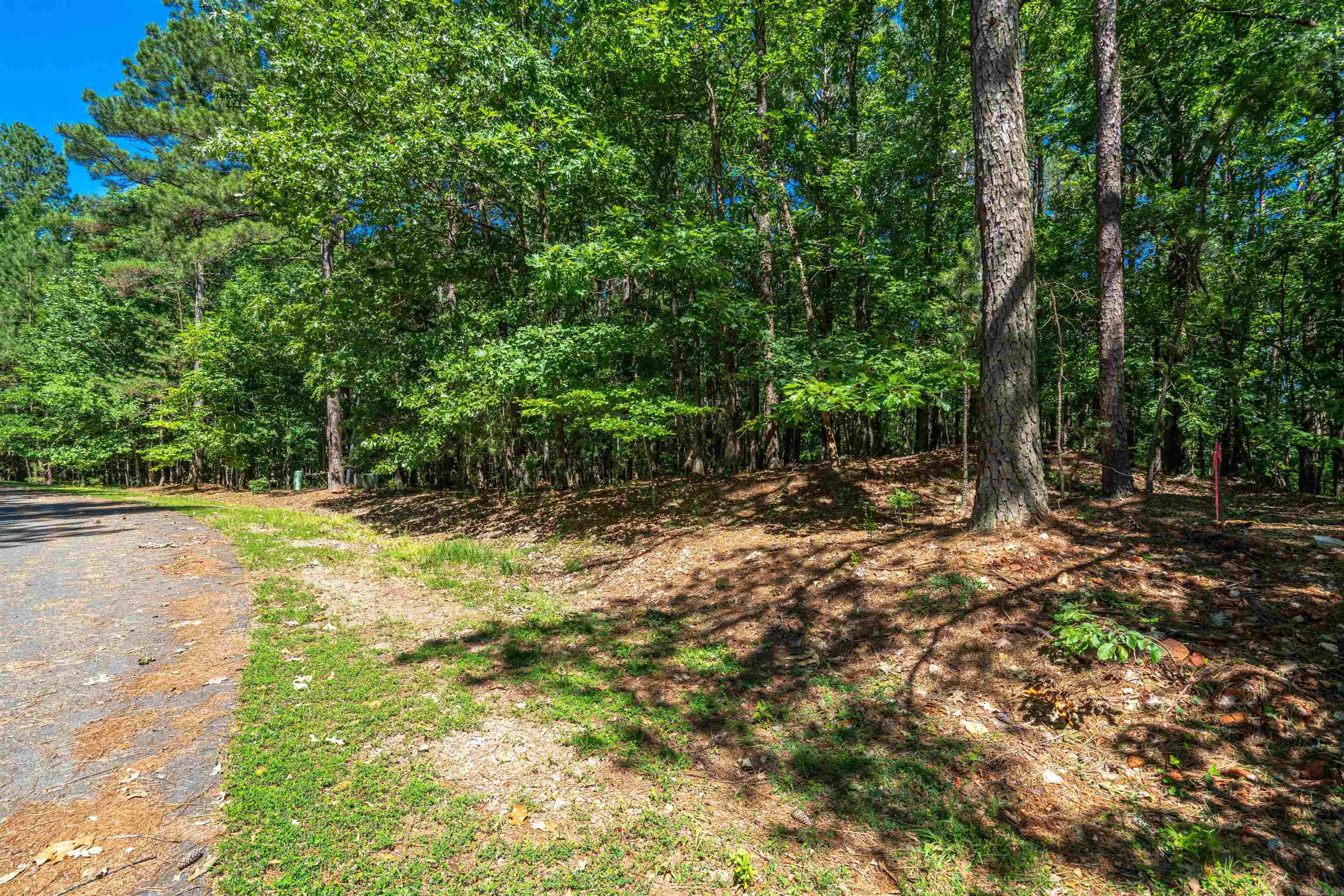 15 Gozar Lane  Hot Springs Village, AR