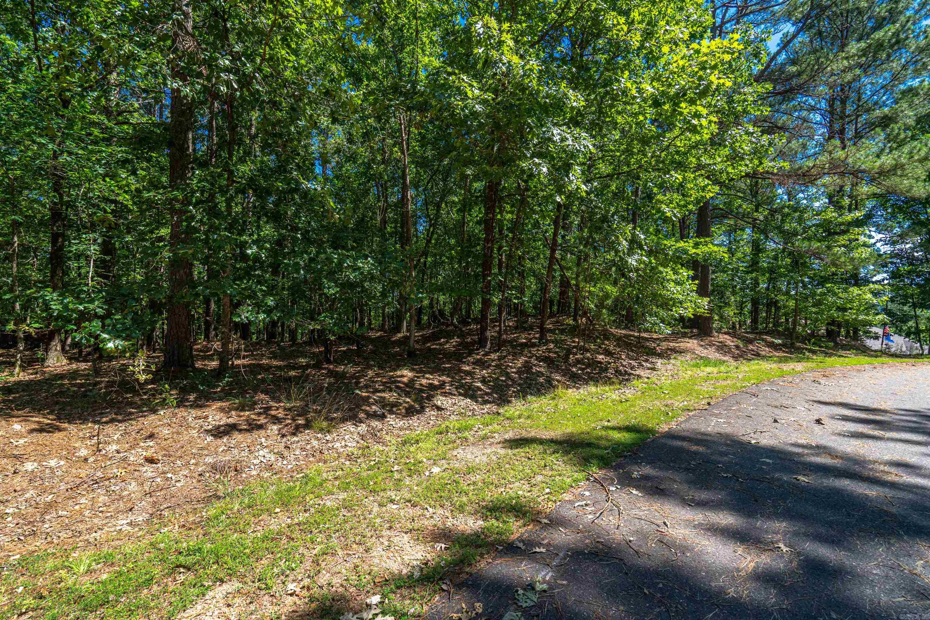 15 Gozar Lane  Hot Springs Village, AR