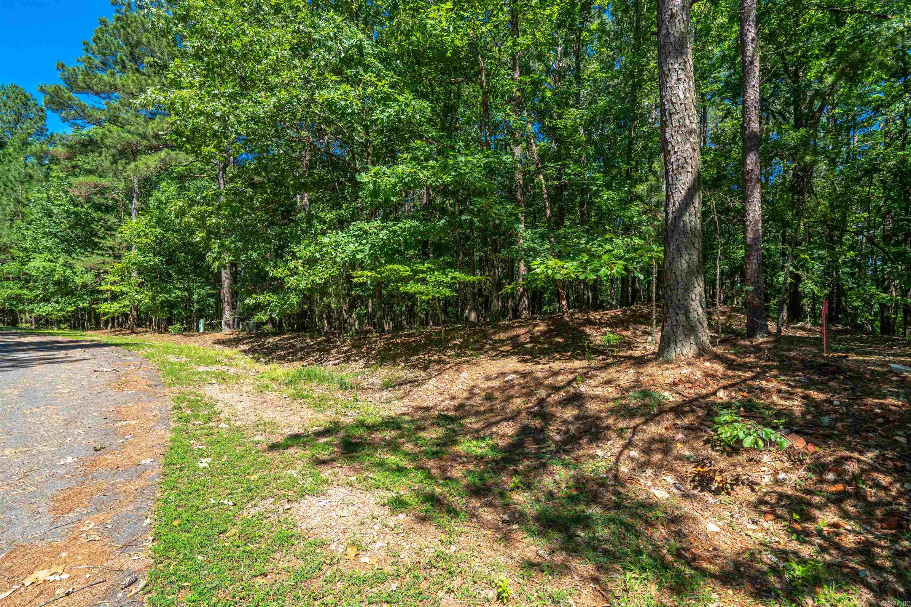 15 Gozar Lane  Hot Springs Village, AR