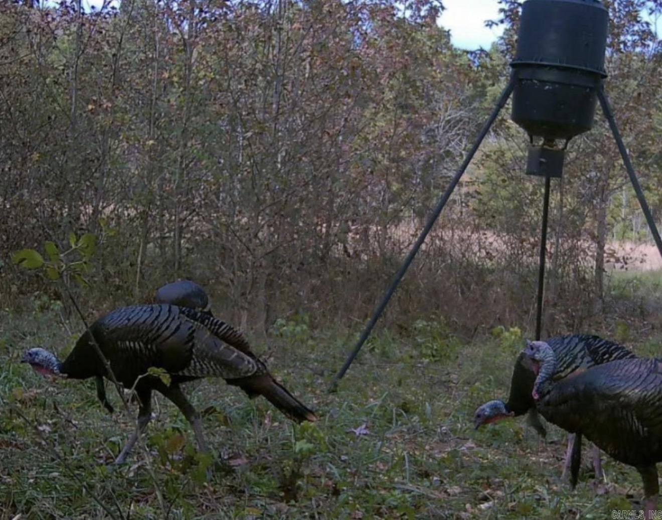 264 Mill Bridge Rd  Damascus, AR