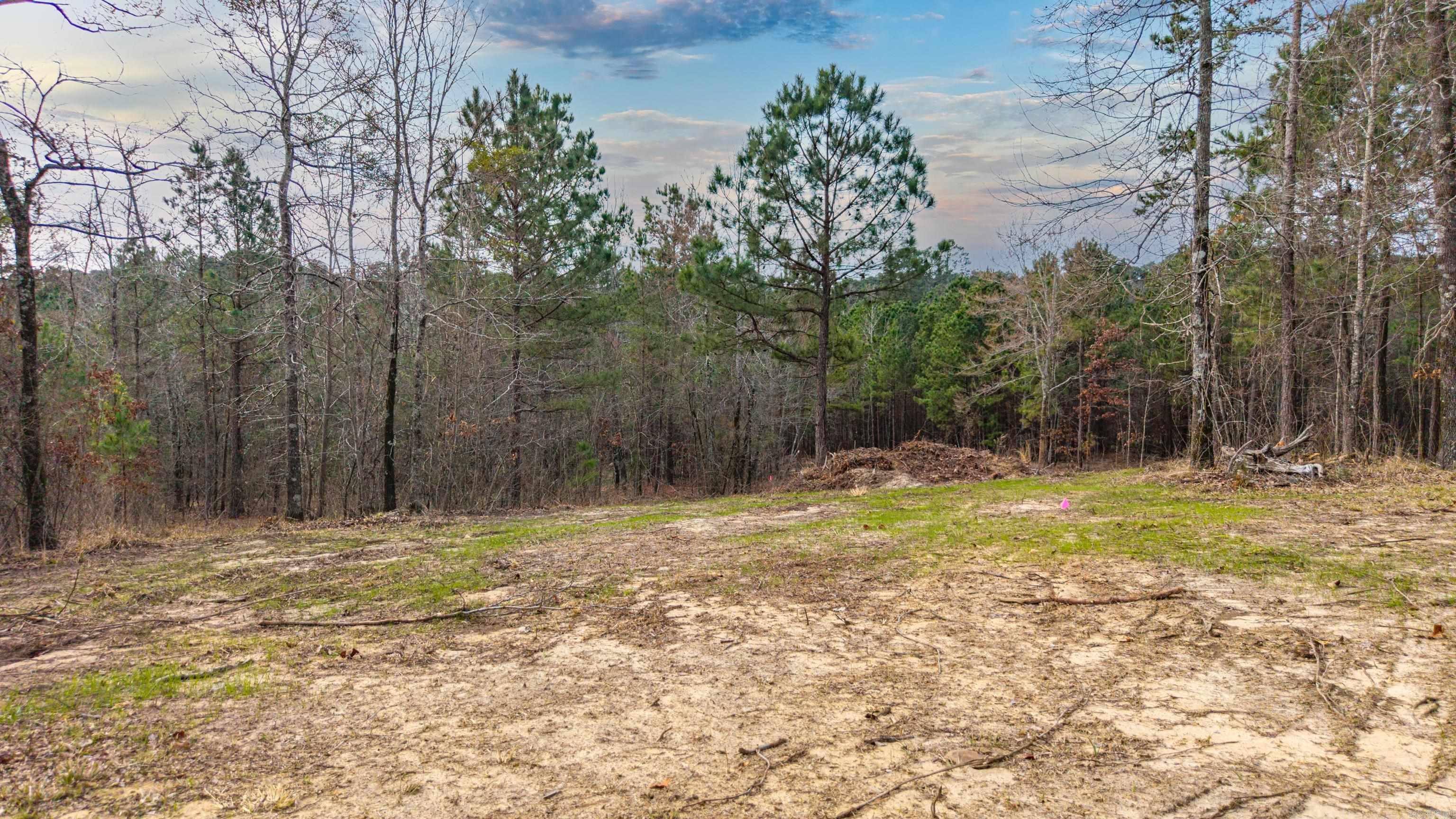 00000 Edgewood Dr  Bismarck, AR