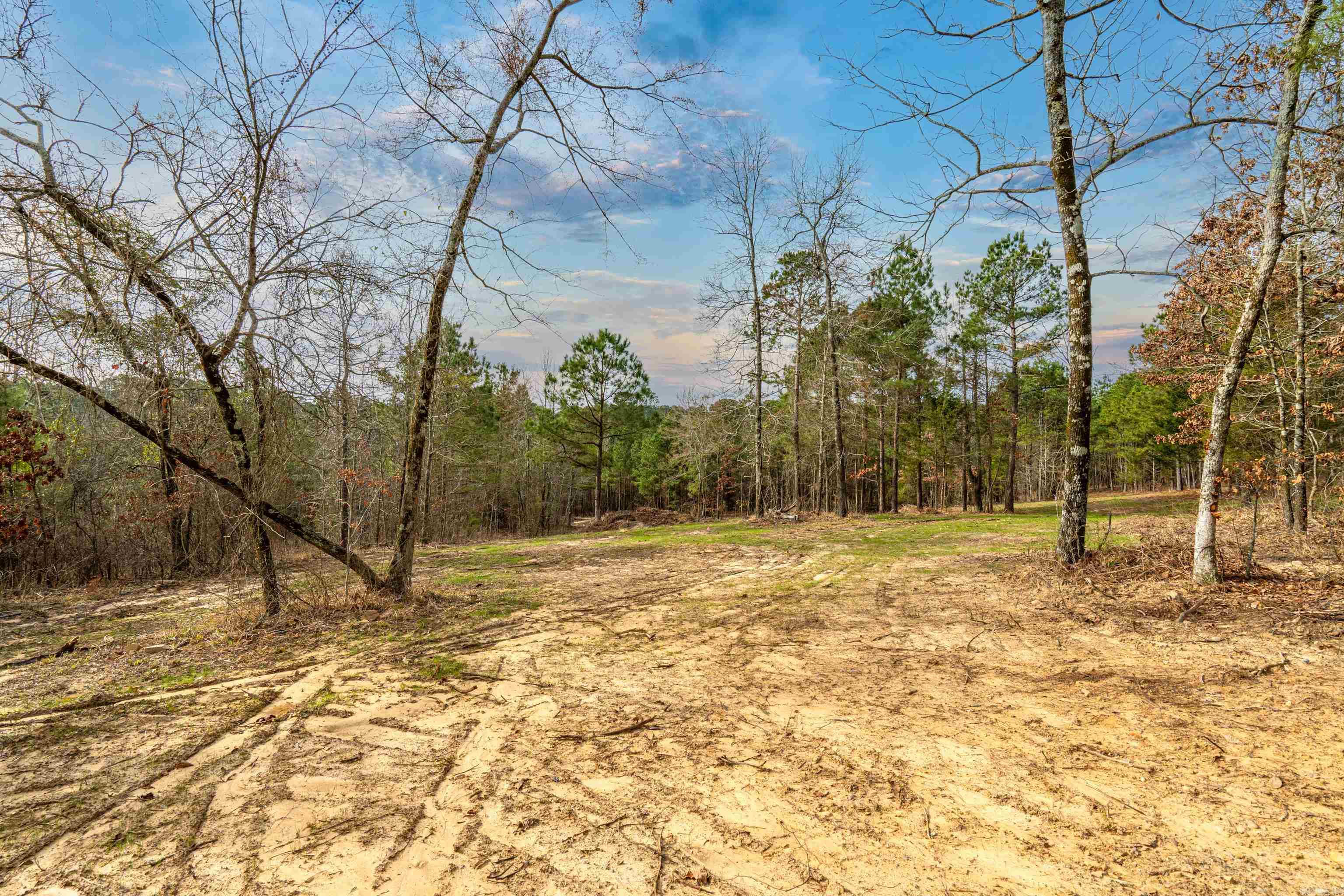 00000 Edgewood Dr  Bismarck, AR