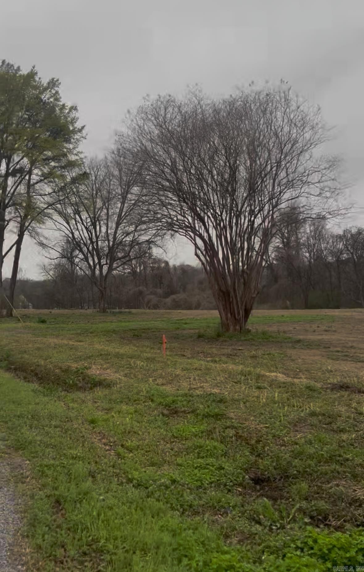 14413 Upper Steel Bend Rd  Scott, AR