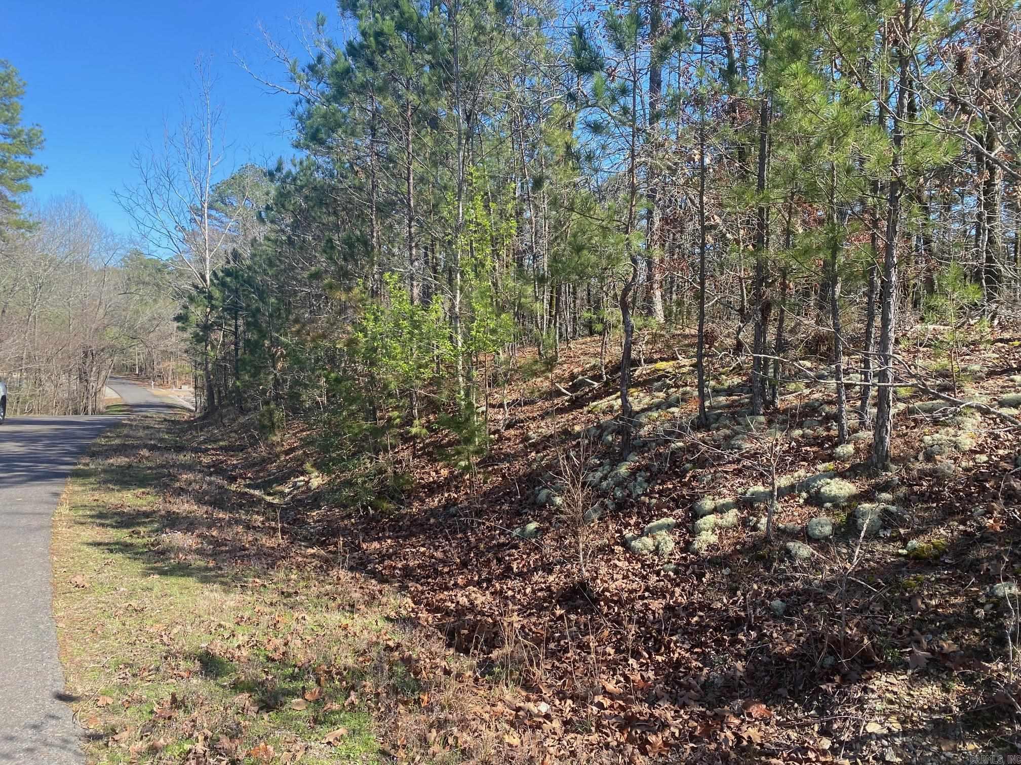 10 Telon  Hot Springs Village, AR