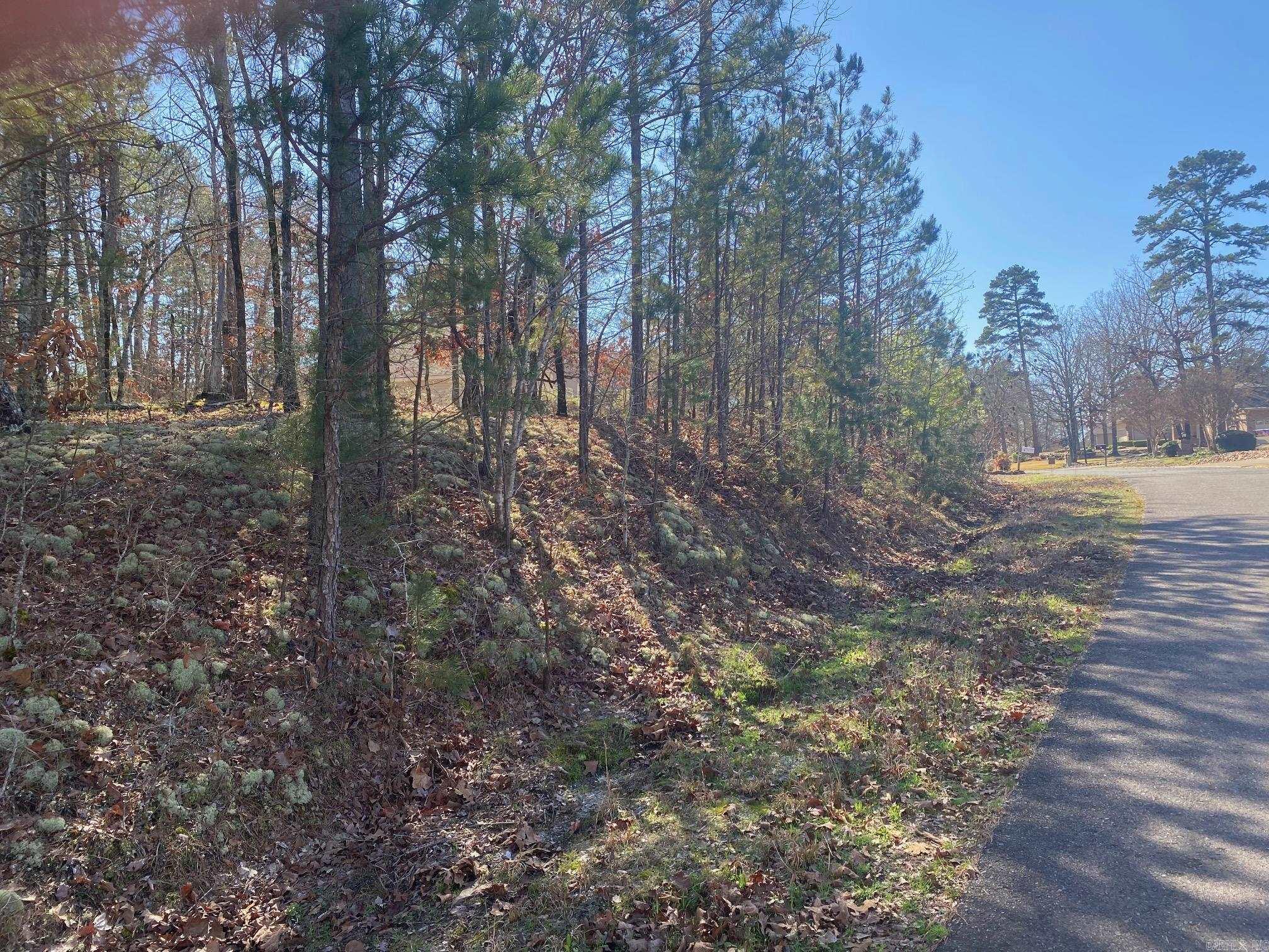 10 Telon  Hot Springs Village, AR