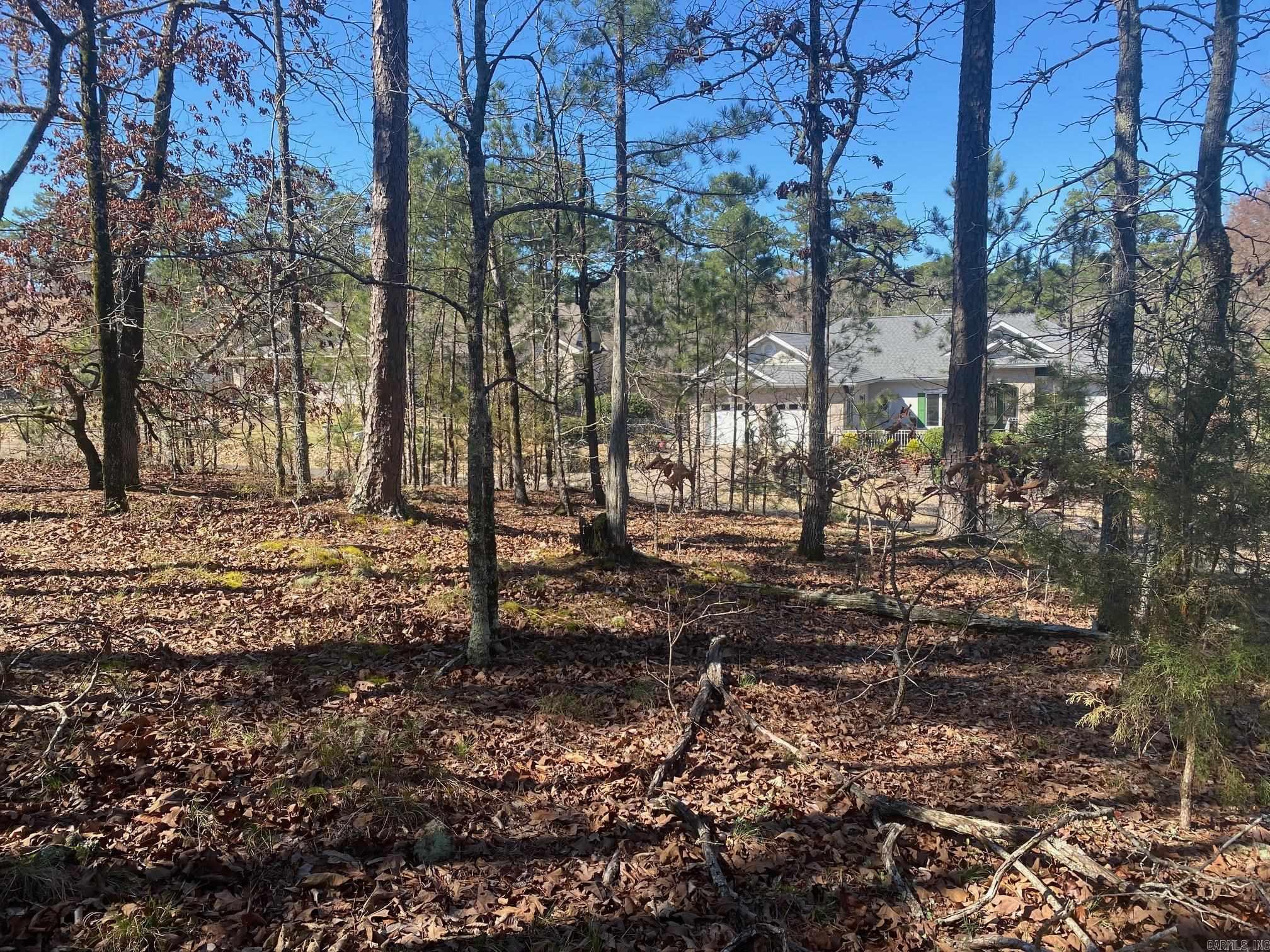 10 Telon  Hot Springs Village, AR