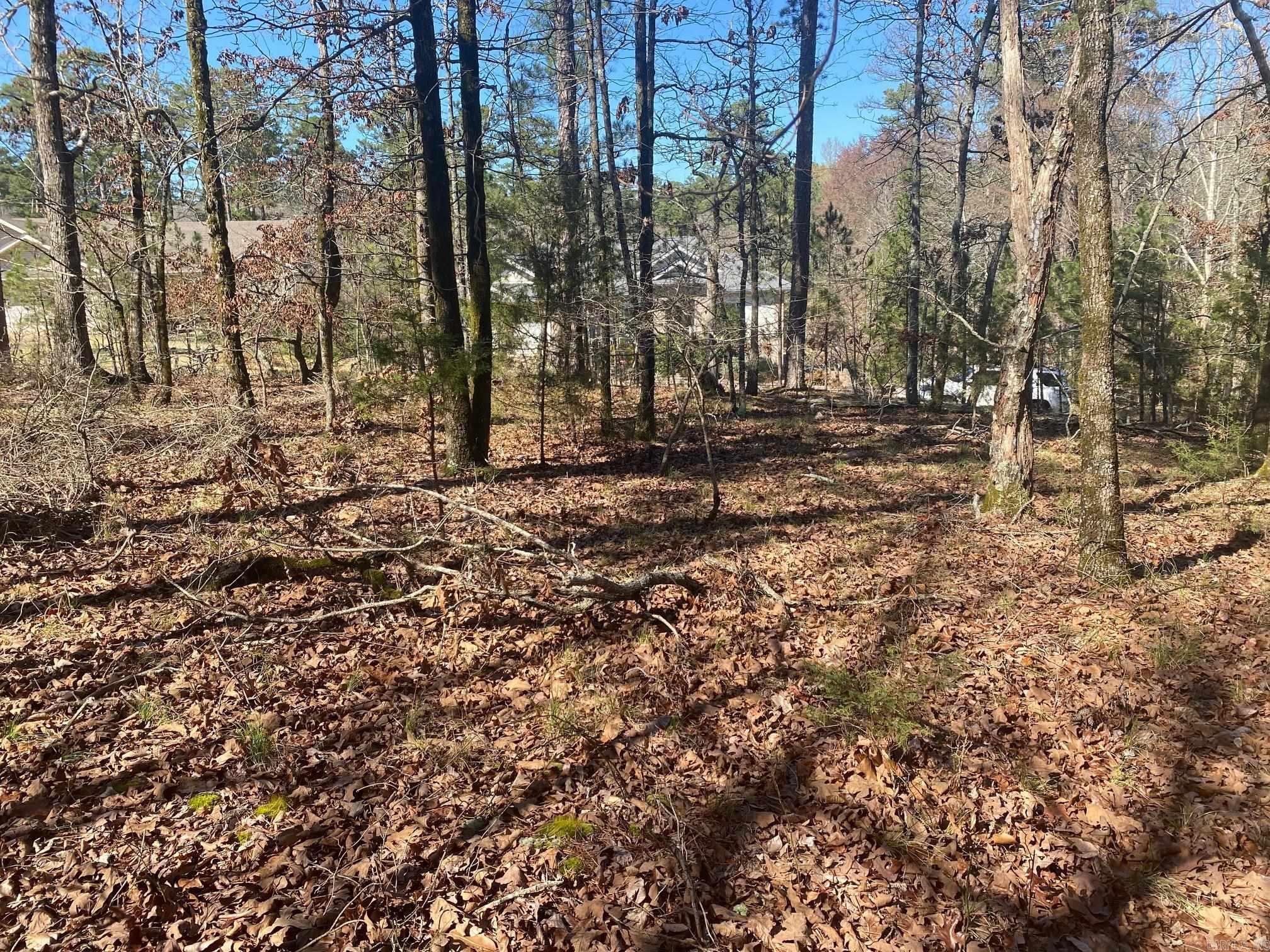 10 Telon  Hot Springs Village, AR