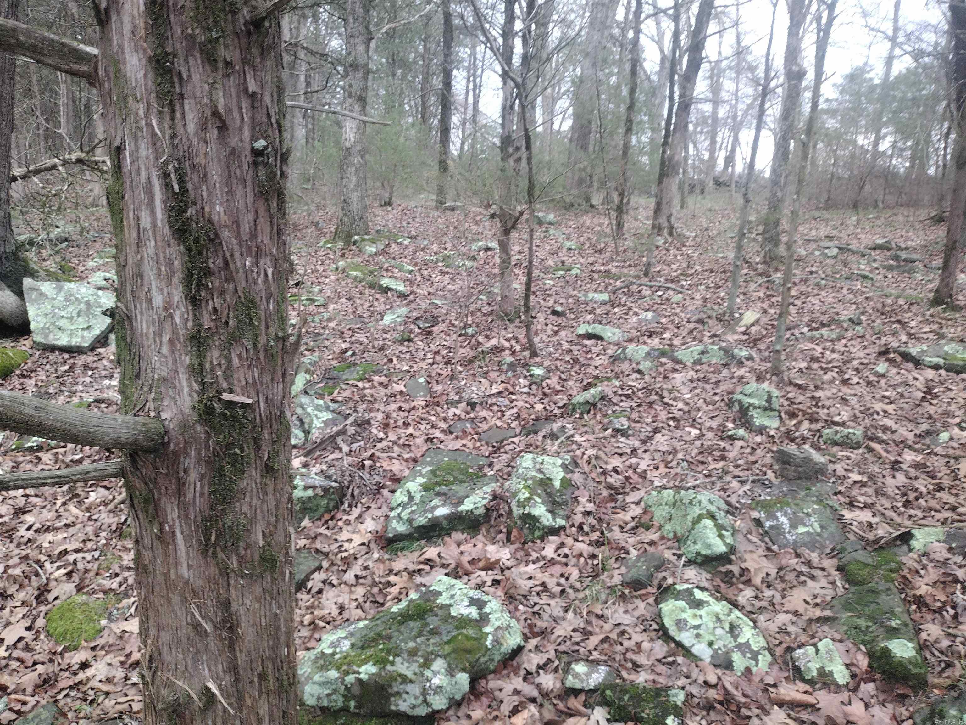 tract 3 HWY 14 e  Mountain View, AR