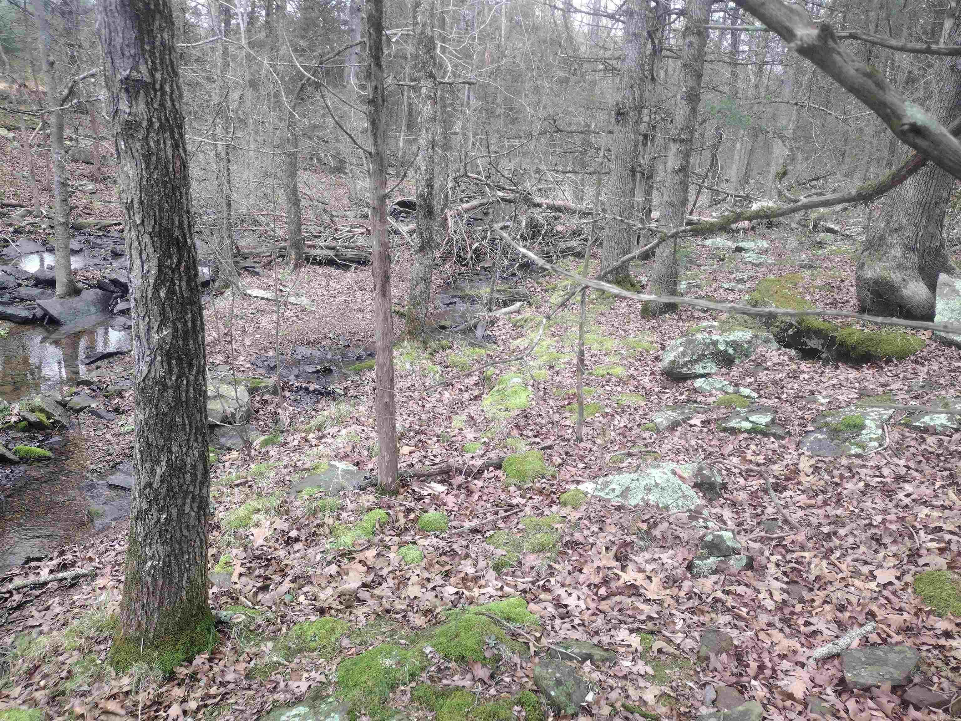 tract 3 HWY 14 e  Mountain View, AR