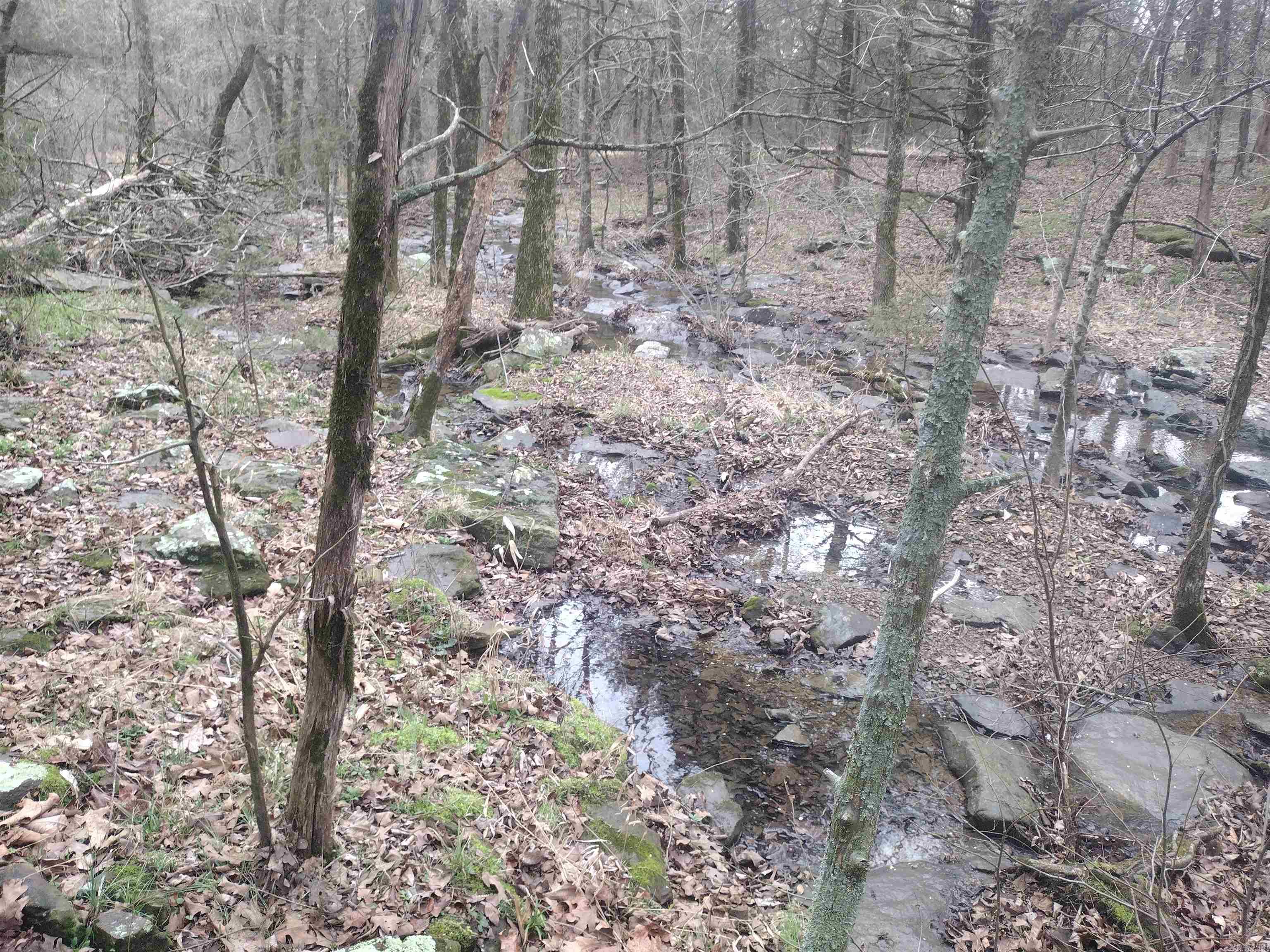 tract 3 HWY 14 e  Mountain View, AR