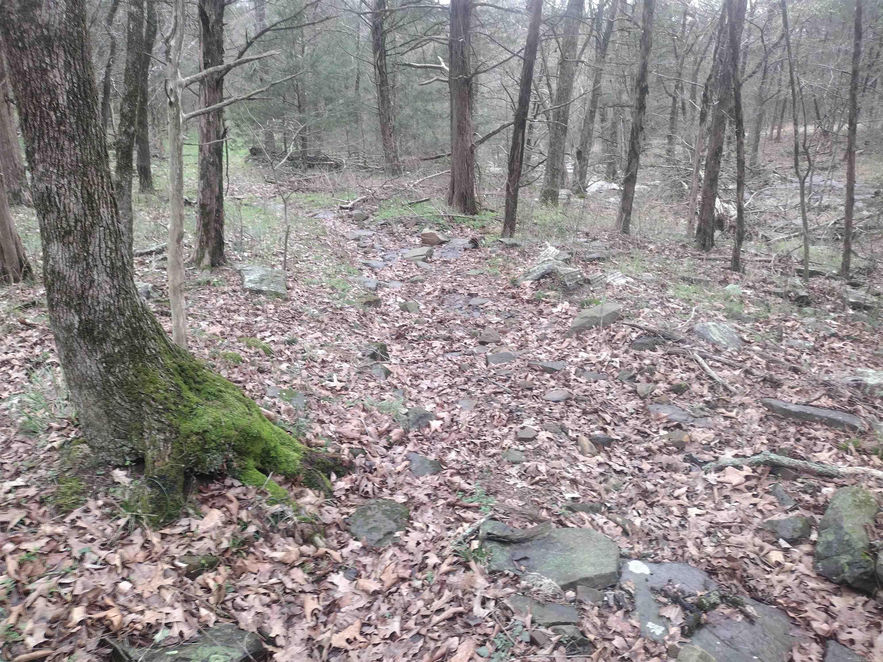 tract 3 HWY 14 e  Mountain View, AR