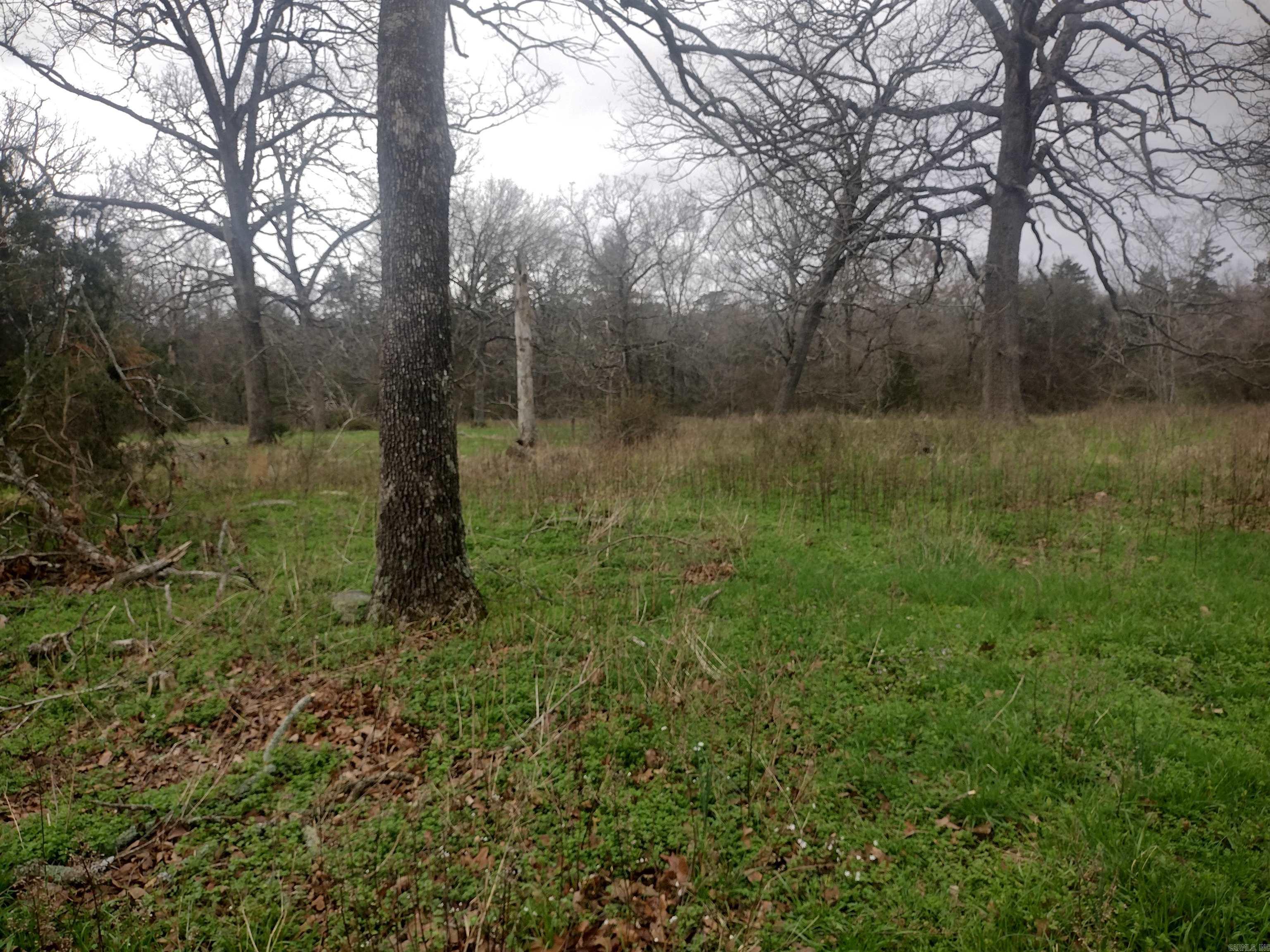 tract 3 HWY 14 e  Mountain View, AR