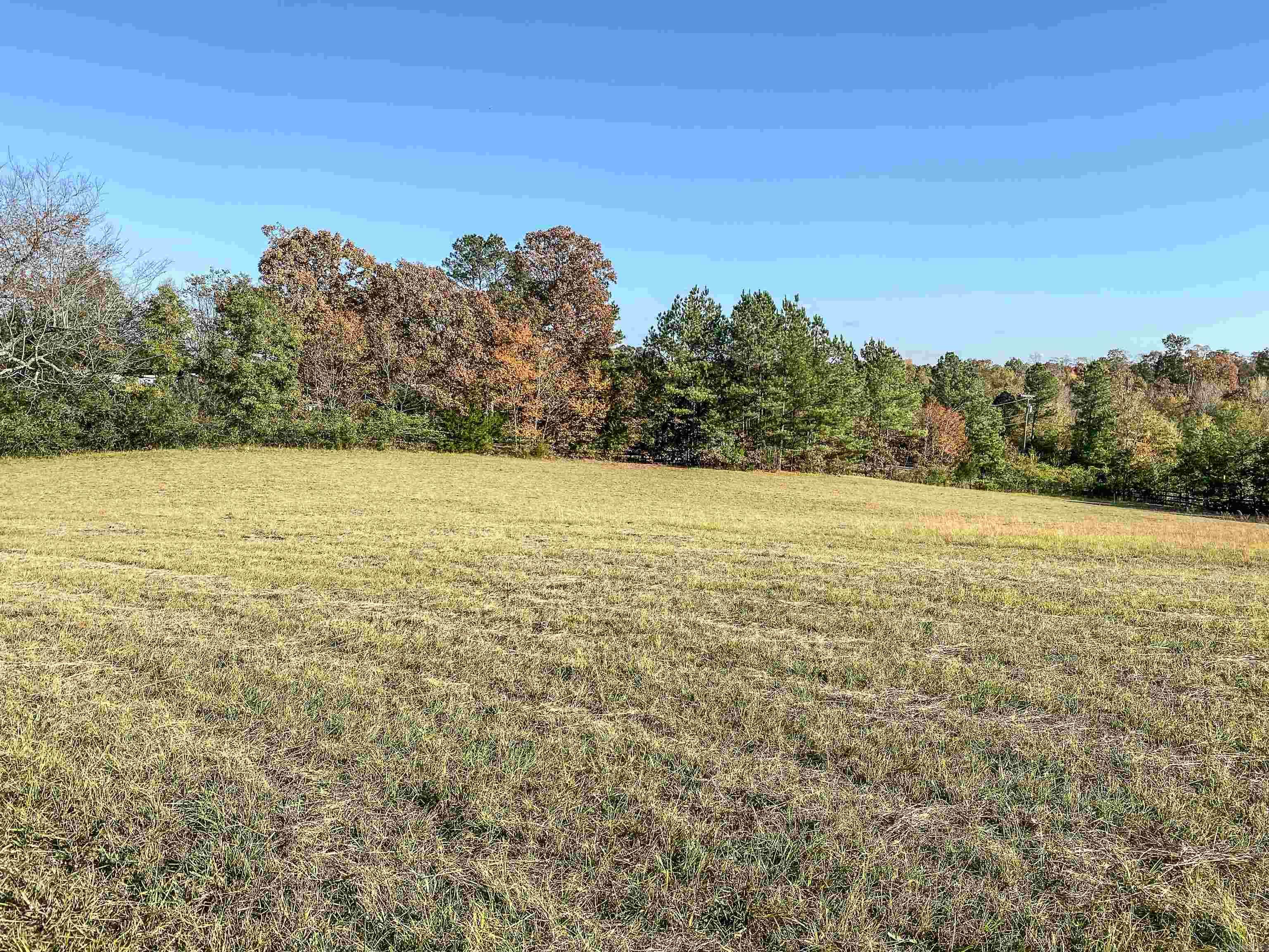 3109 Sunshine Tract A Royal, AR