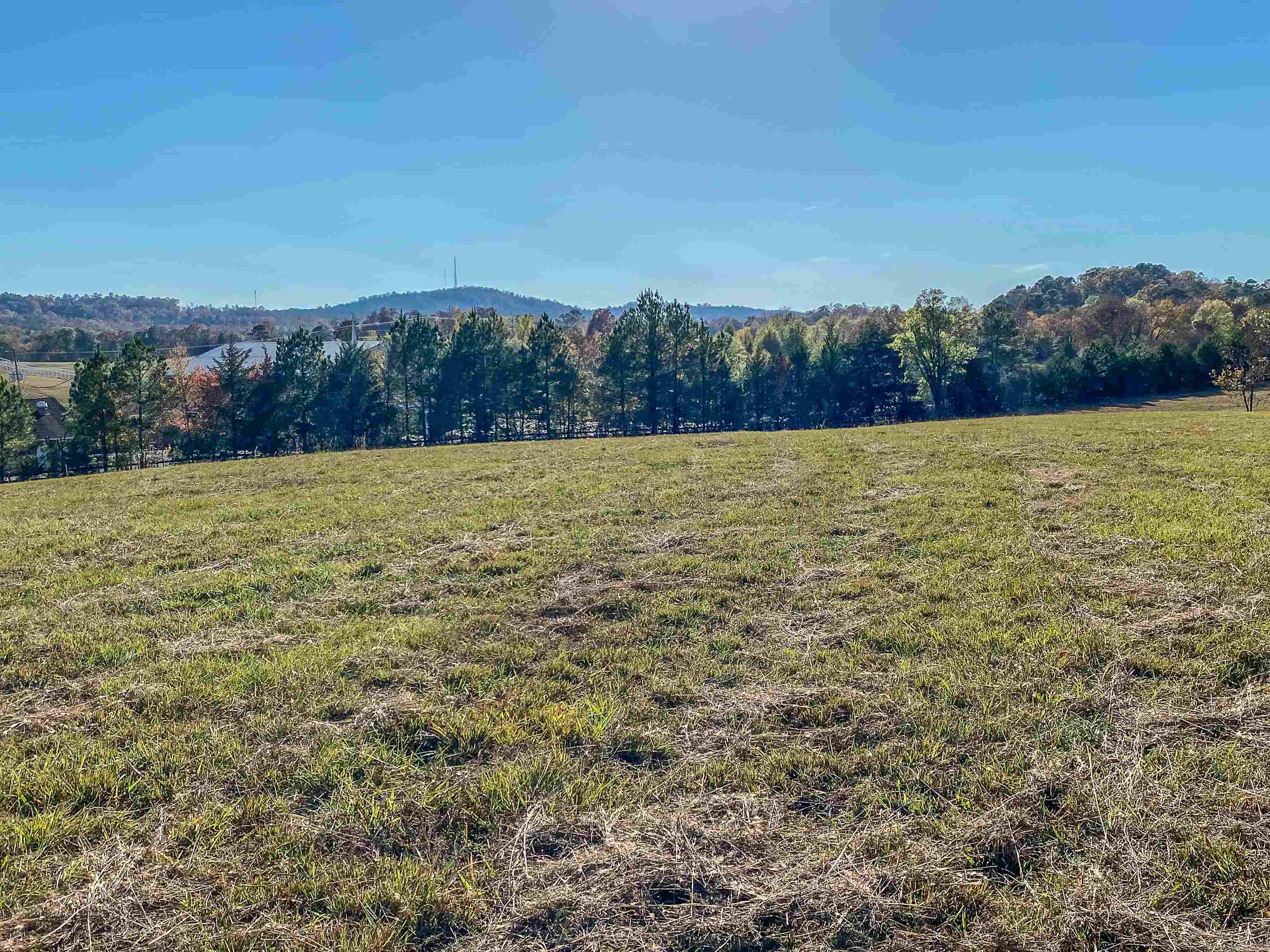 3109 Sunshine Tract A Royal, AR